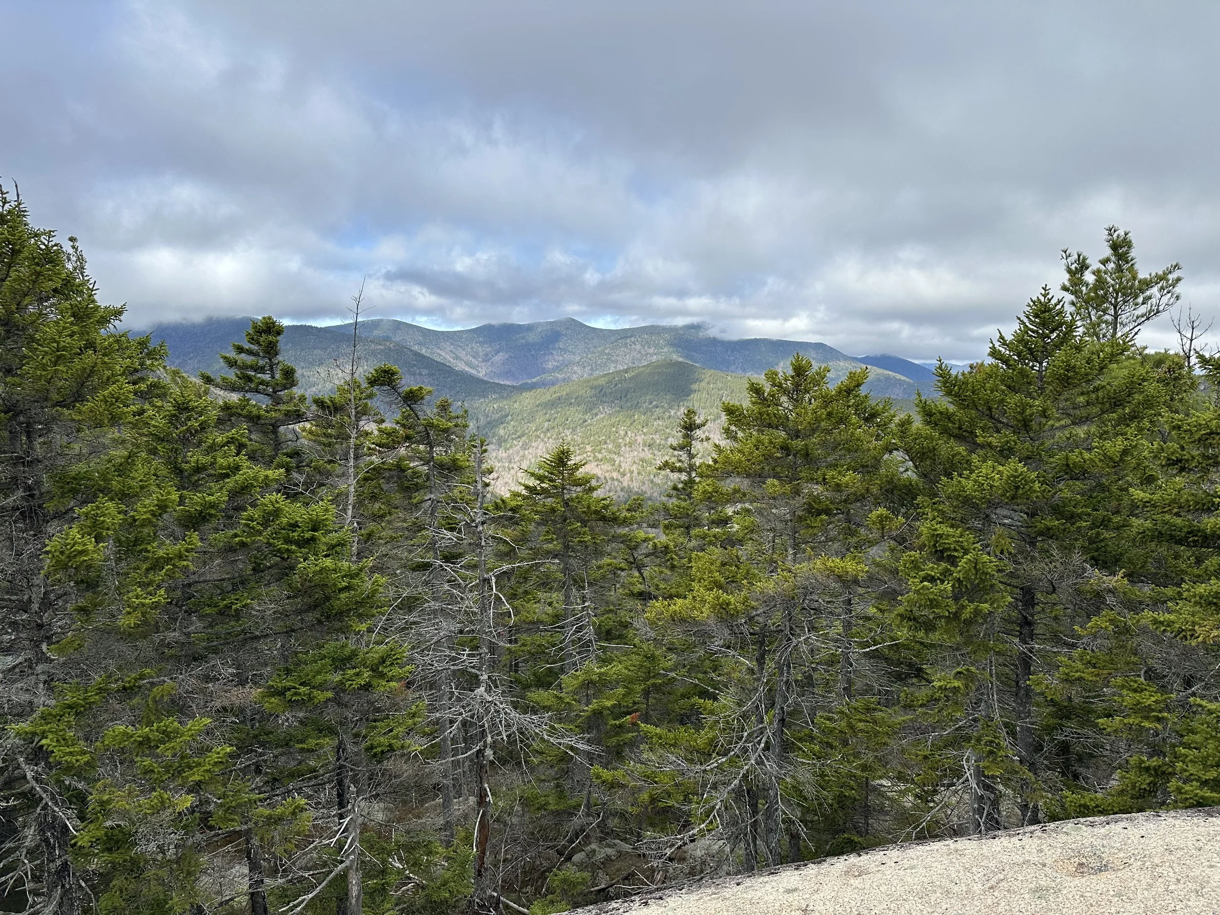 views near the summit of hedgehog mountain