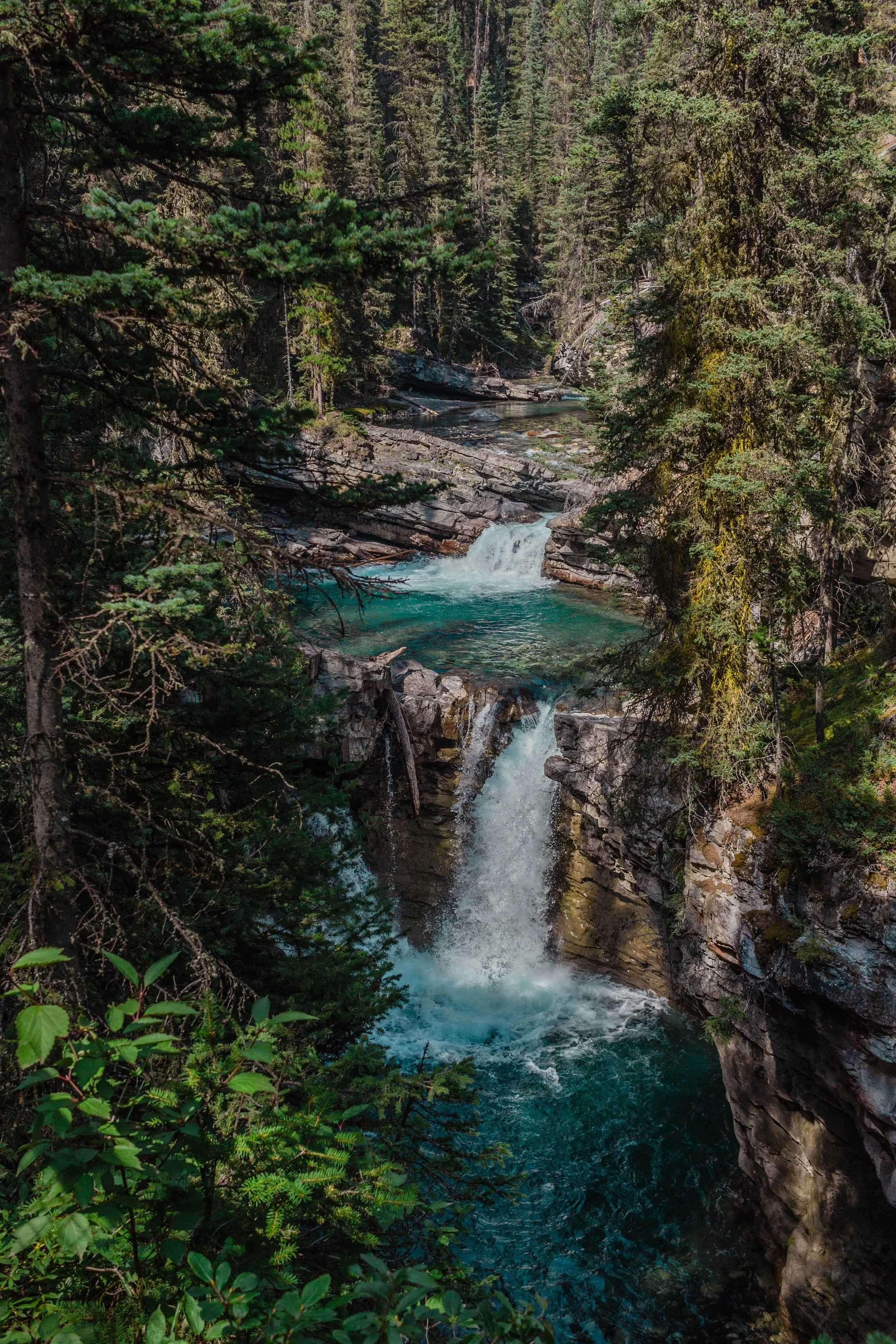 johnston canyon hike in banff