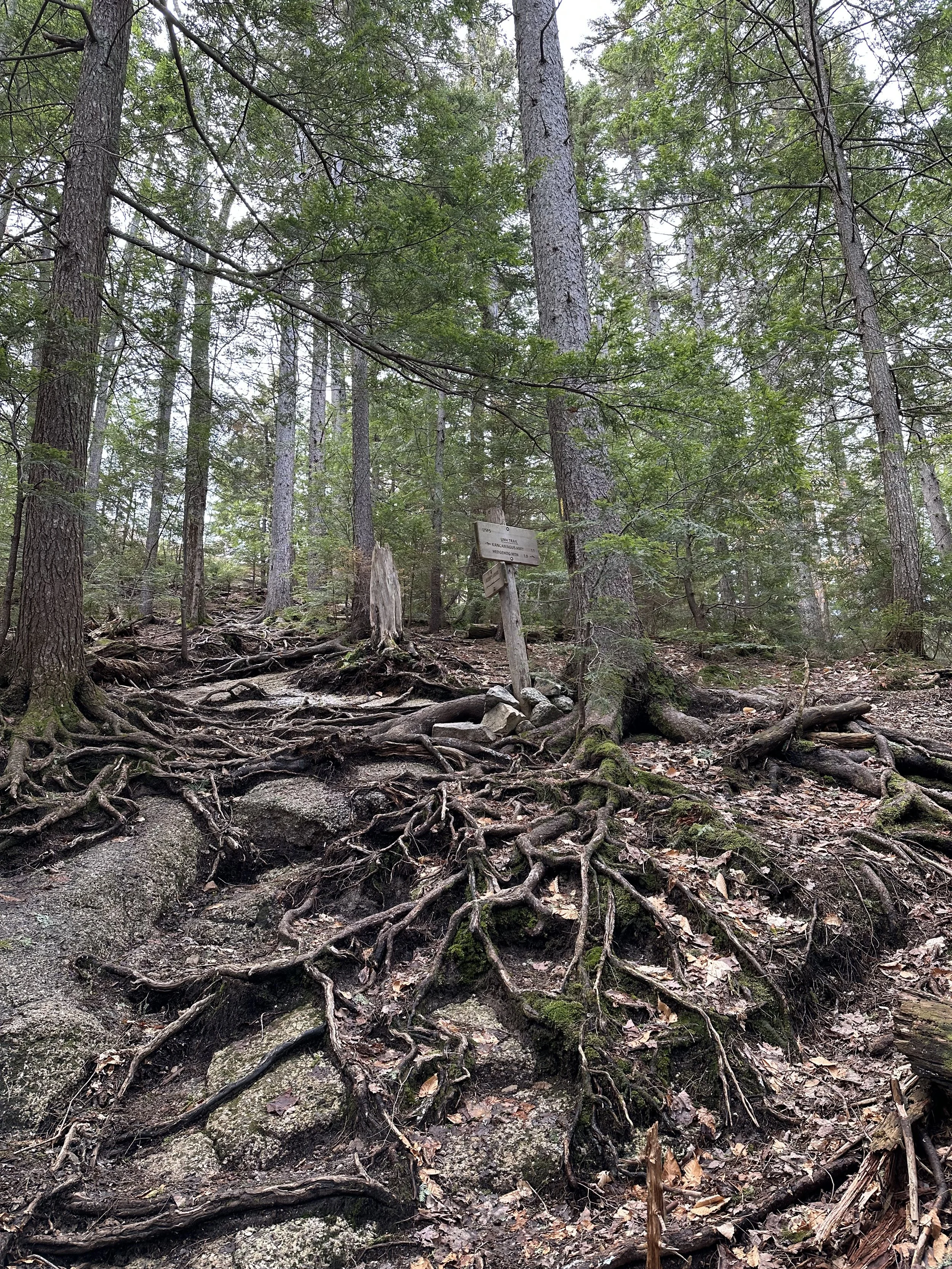 allen’s ledge trail junction