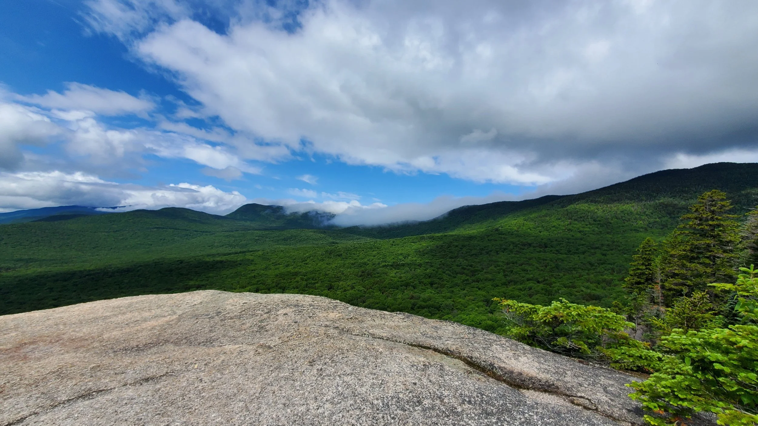 Mount Pemigewasset in the white mountains