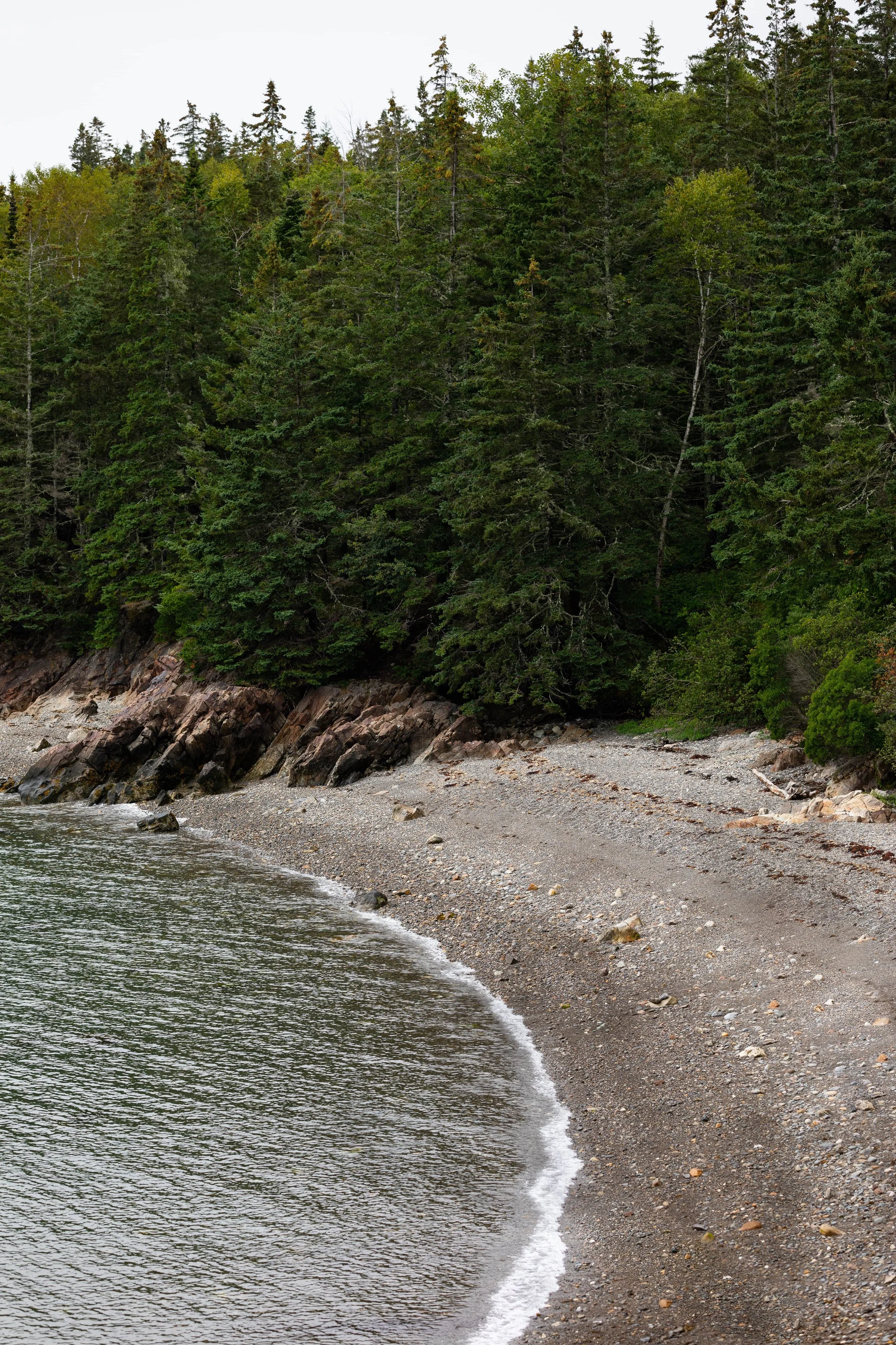 cove near lubec in maine in summer