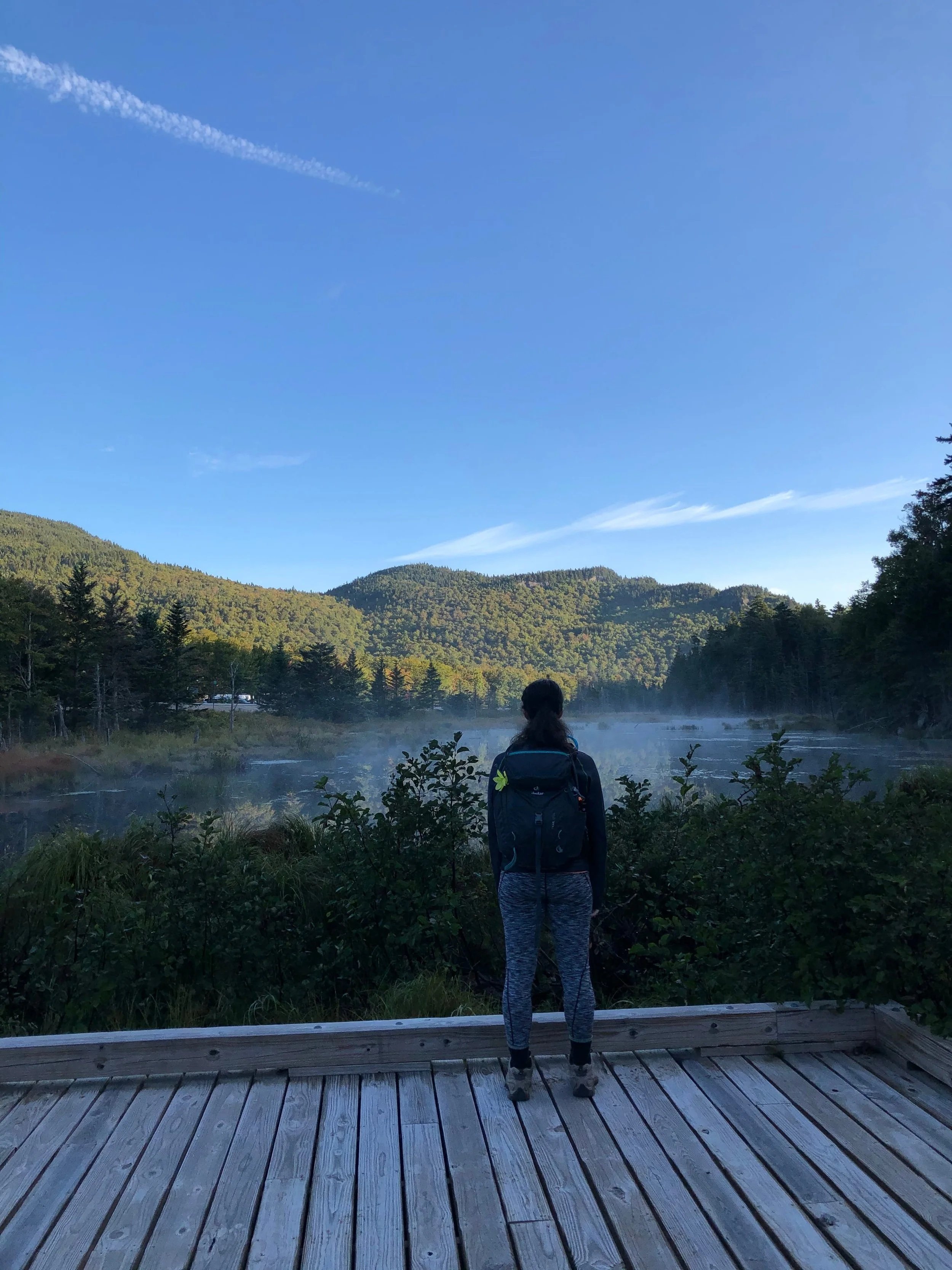 standing along lost pond trail in the white mountains