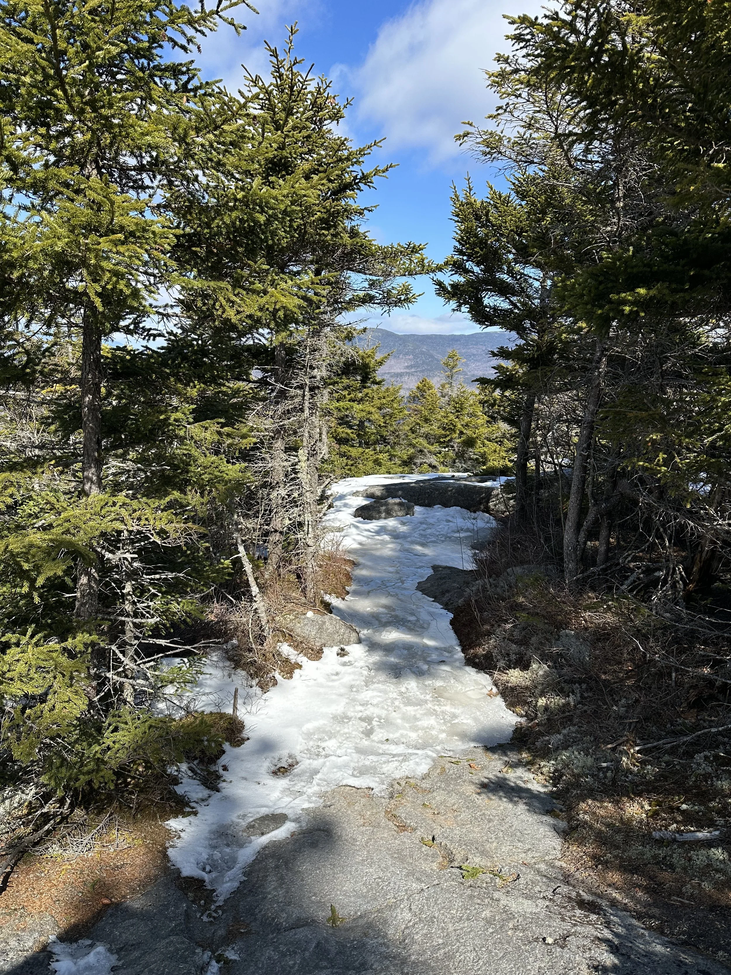 wentworth trail near mount israel