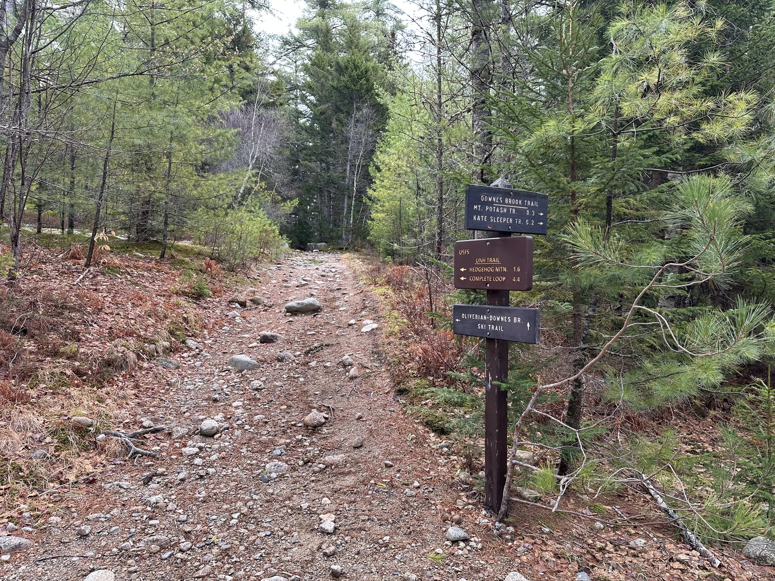 trailhead signs to hedgehog mountain