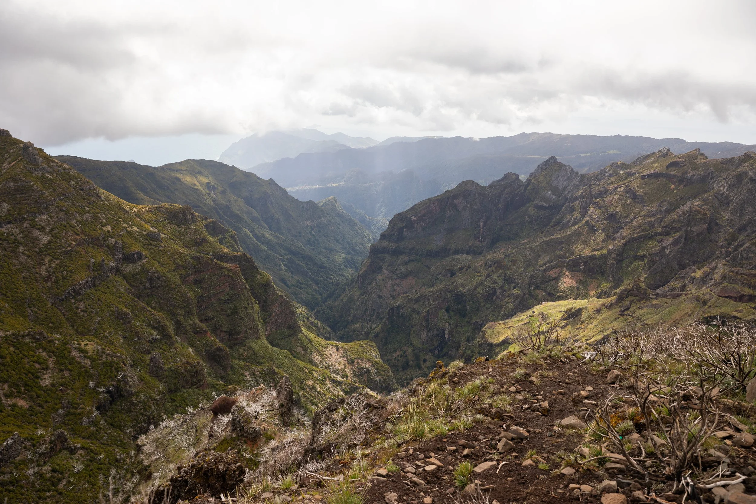 mountain views from pico ruivo