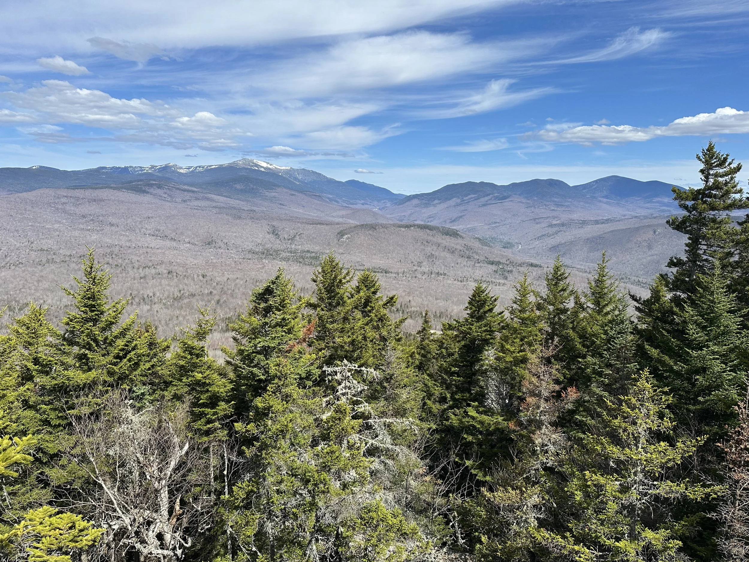 viewpoint near iron mountain