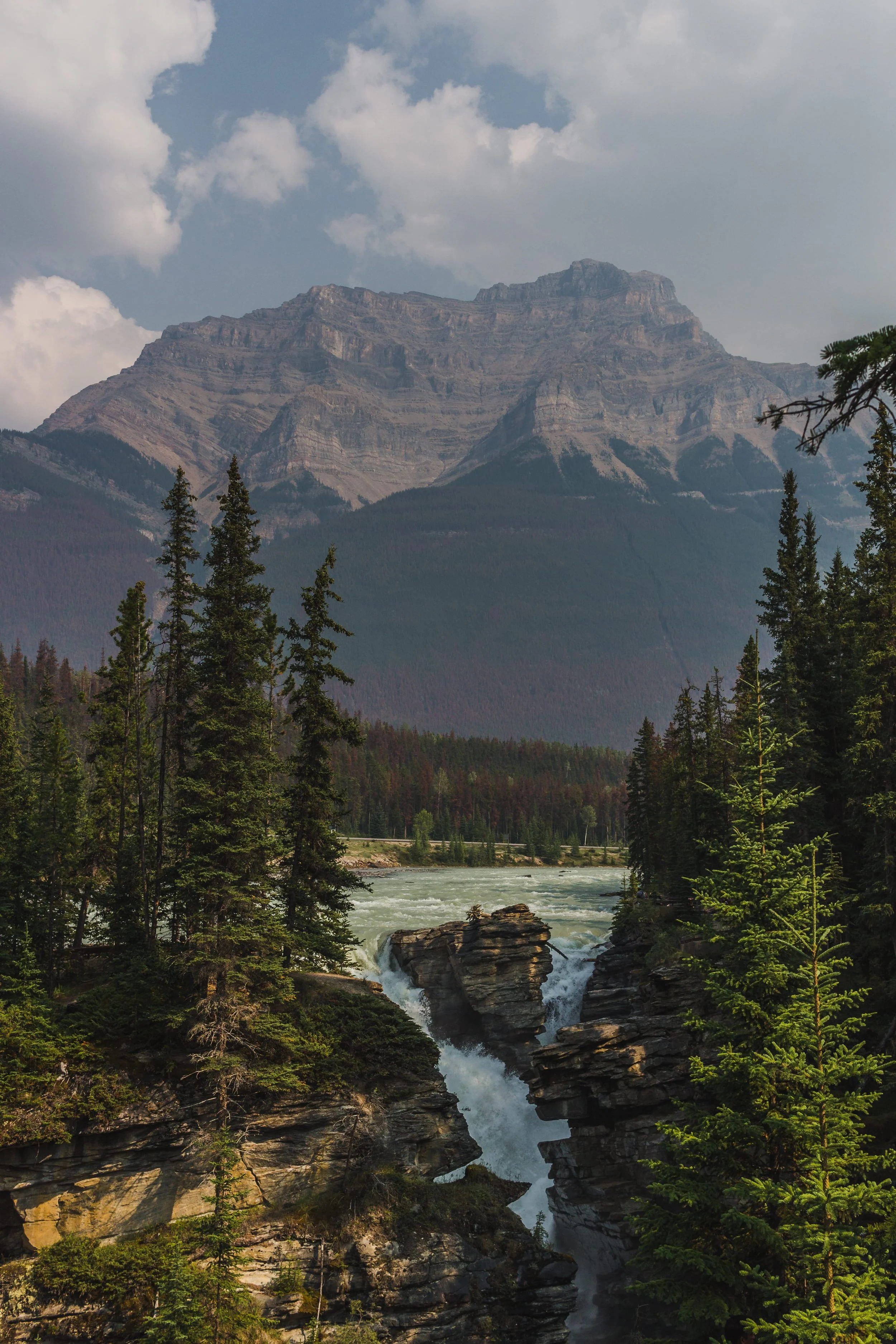 athabasca falls in the canadian rockies