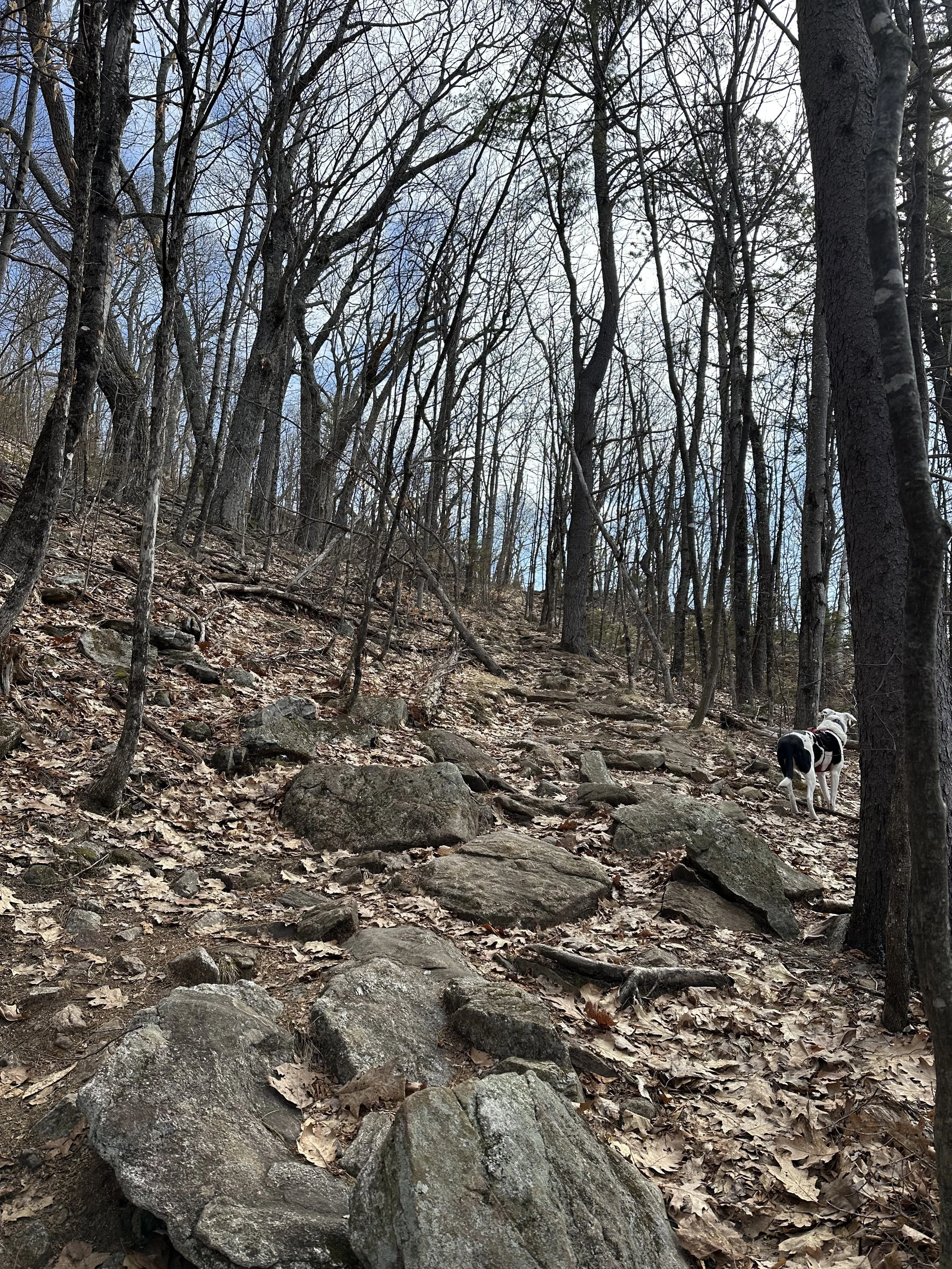 rocky ascent to mount israel