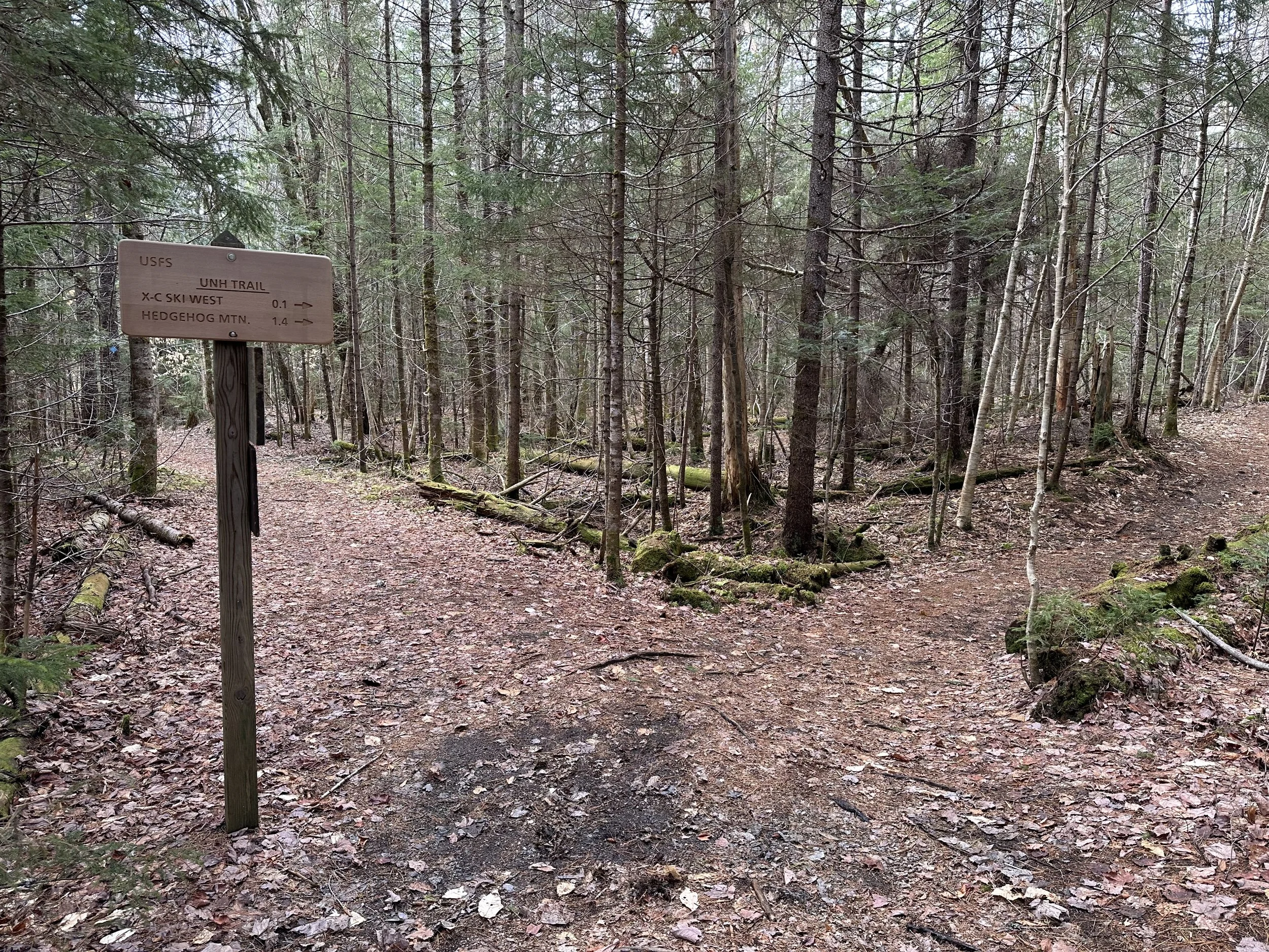 UNH Trail sign