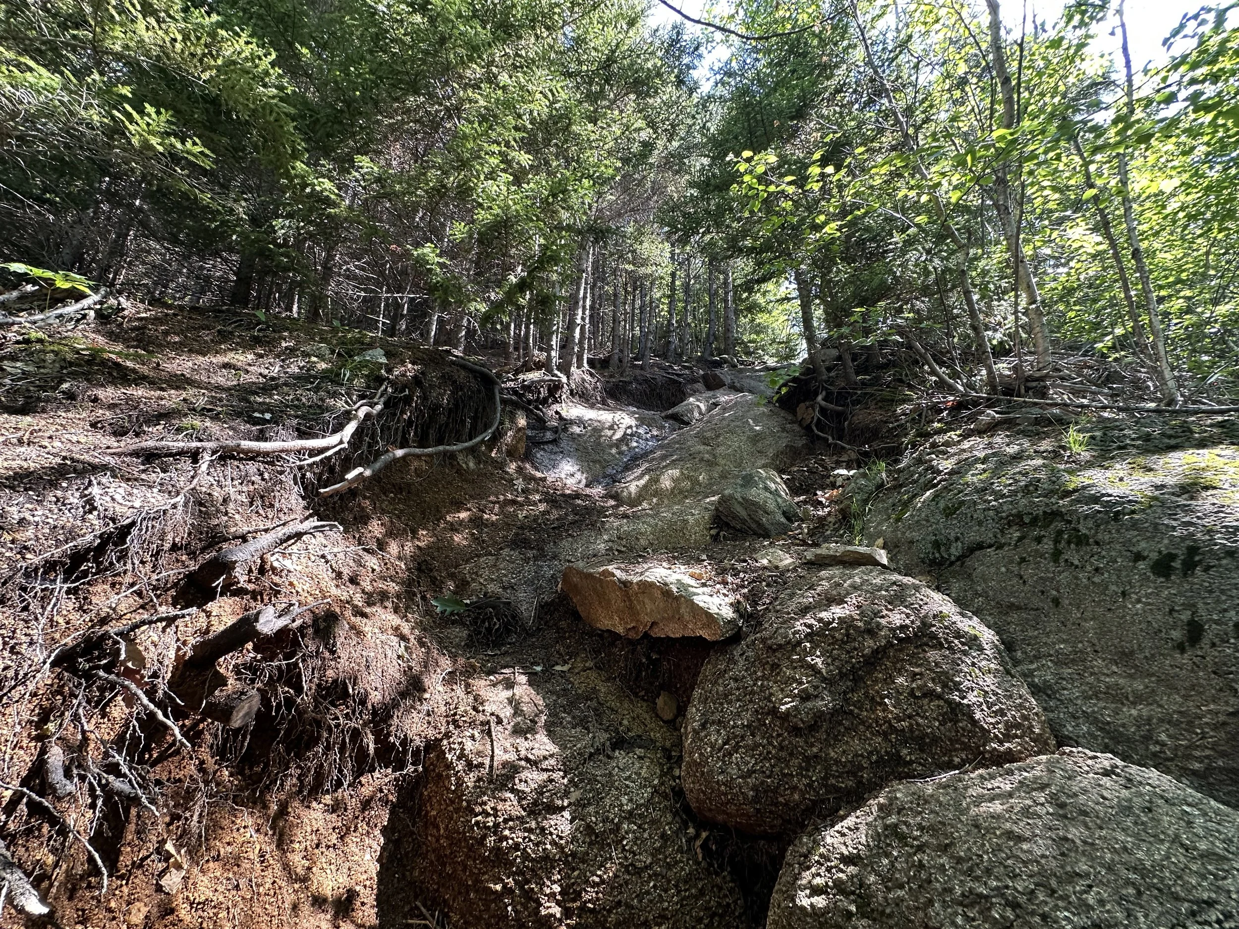 steep section leading to table mountain nh