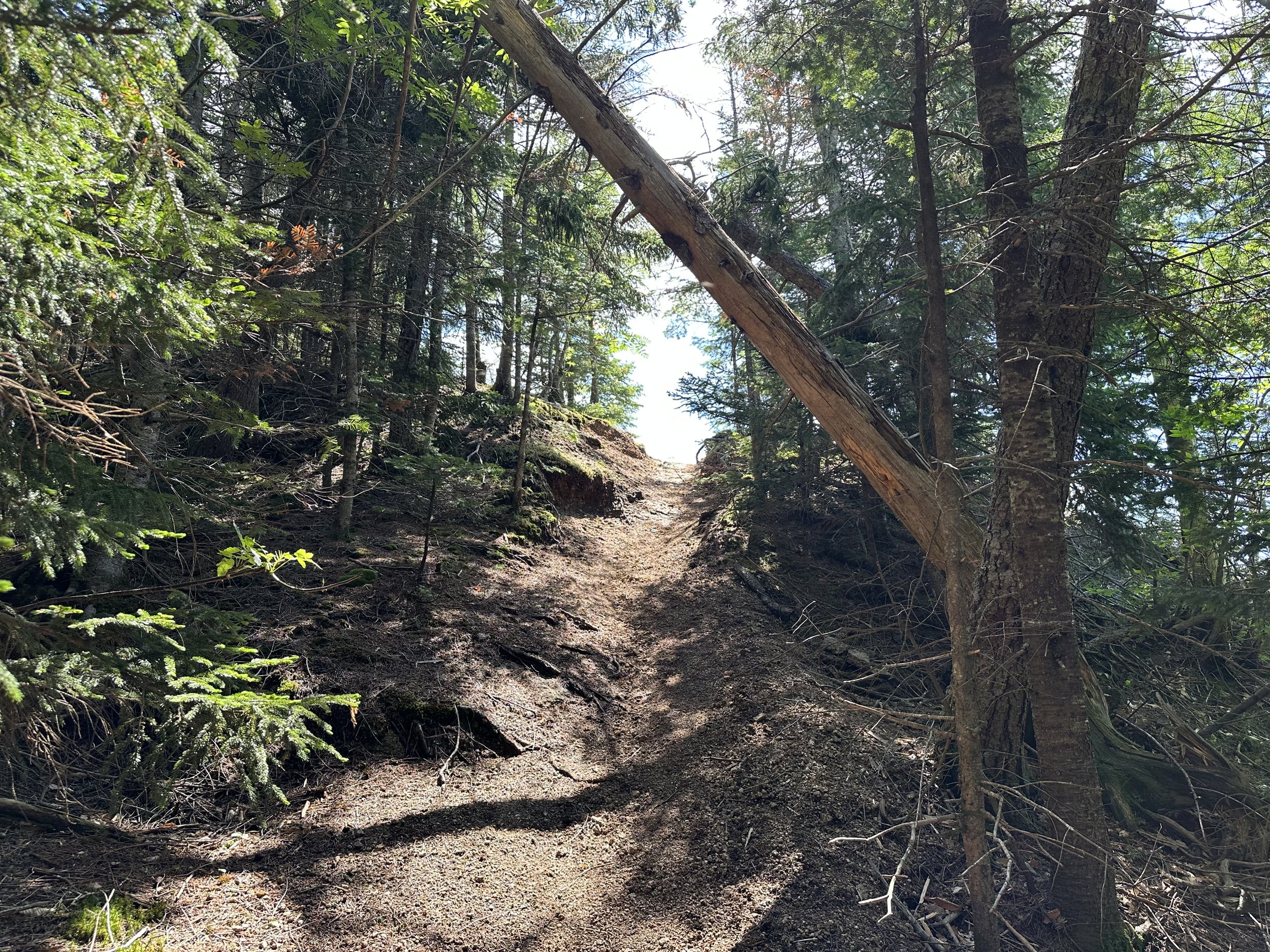 gravel section of attitash trail