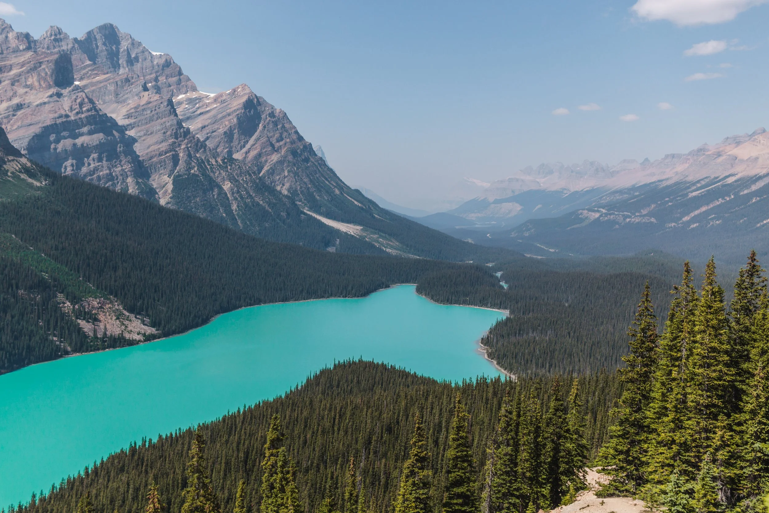 peyto lake in banff