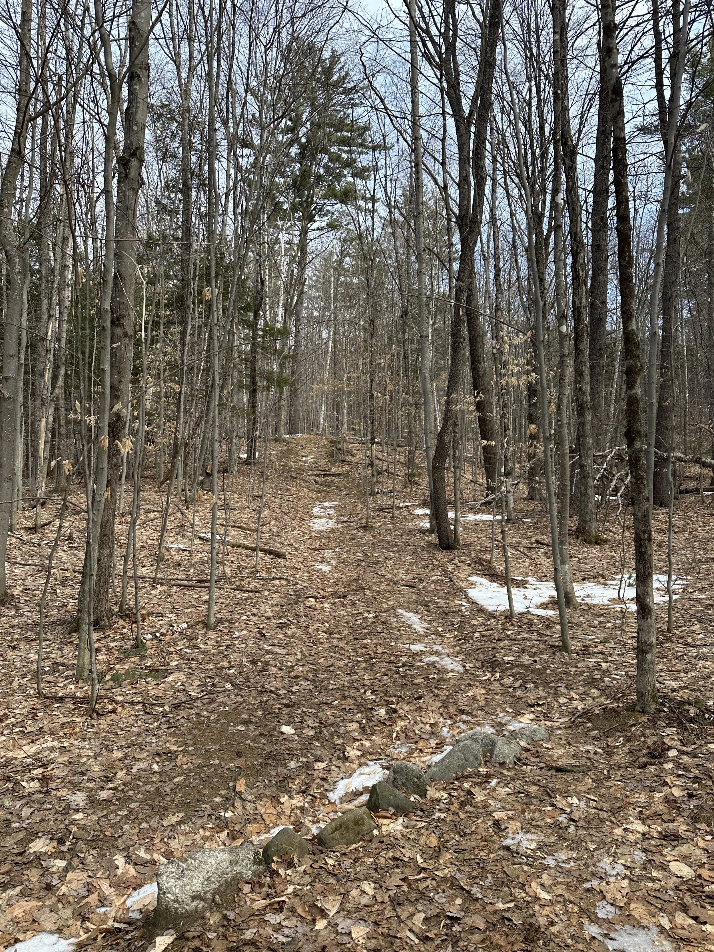 beginning of the wentworth trail to mount israel