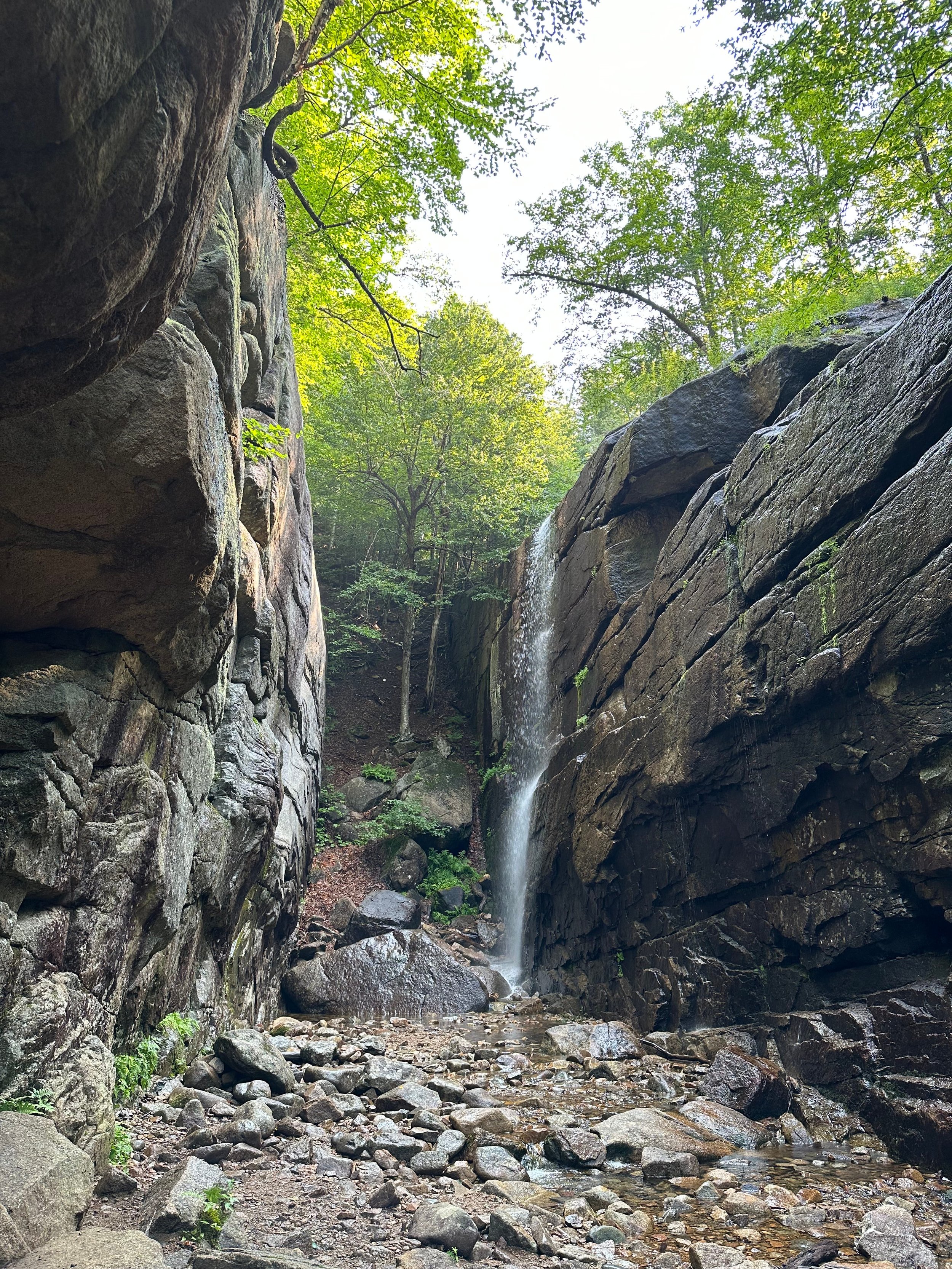 pitcher falls in the white mountains