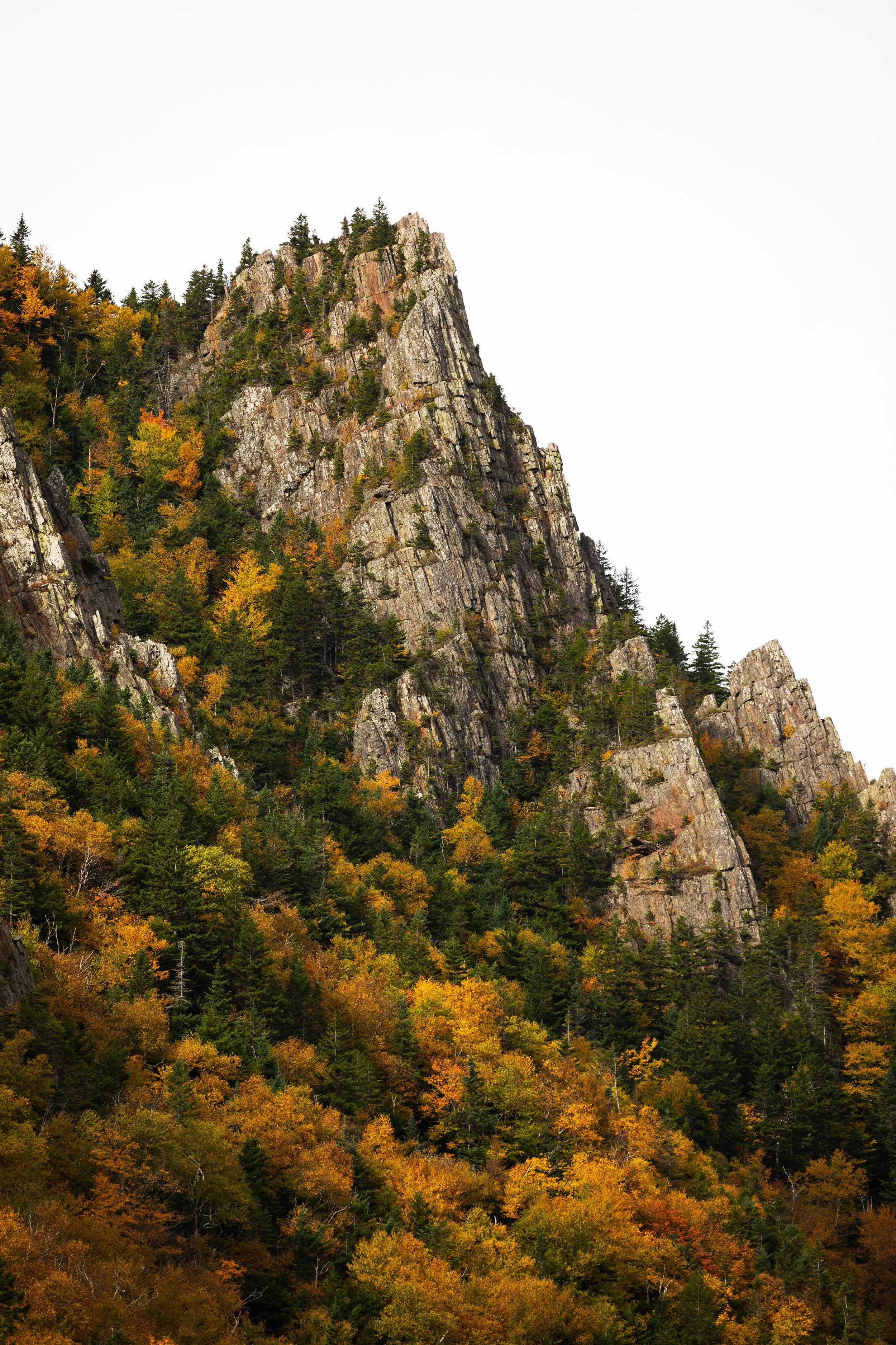 rocky mountain with pines and yellow foliage