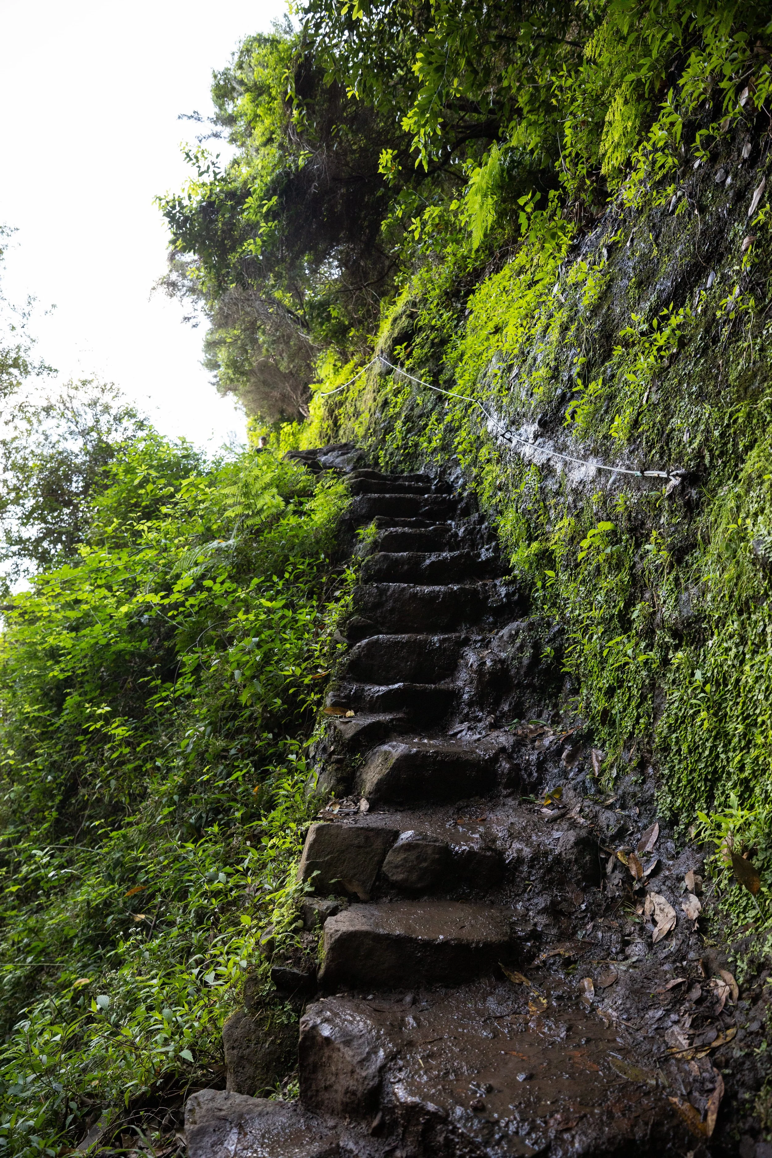 wet stairs on  Vereda do Larano