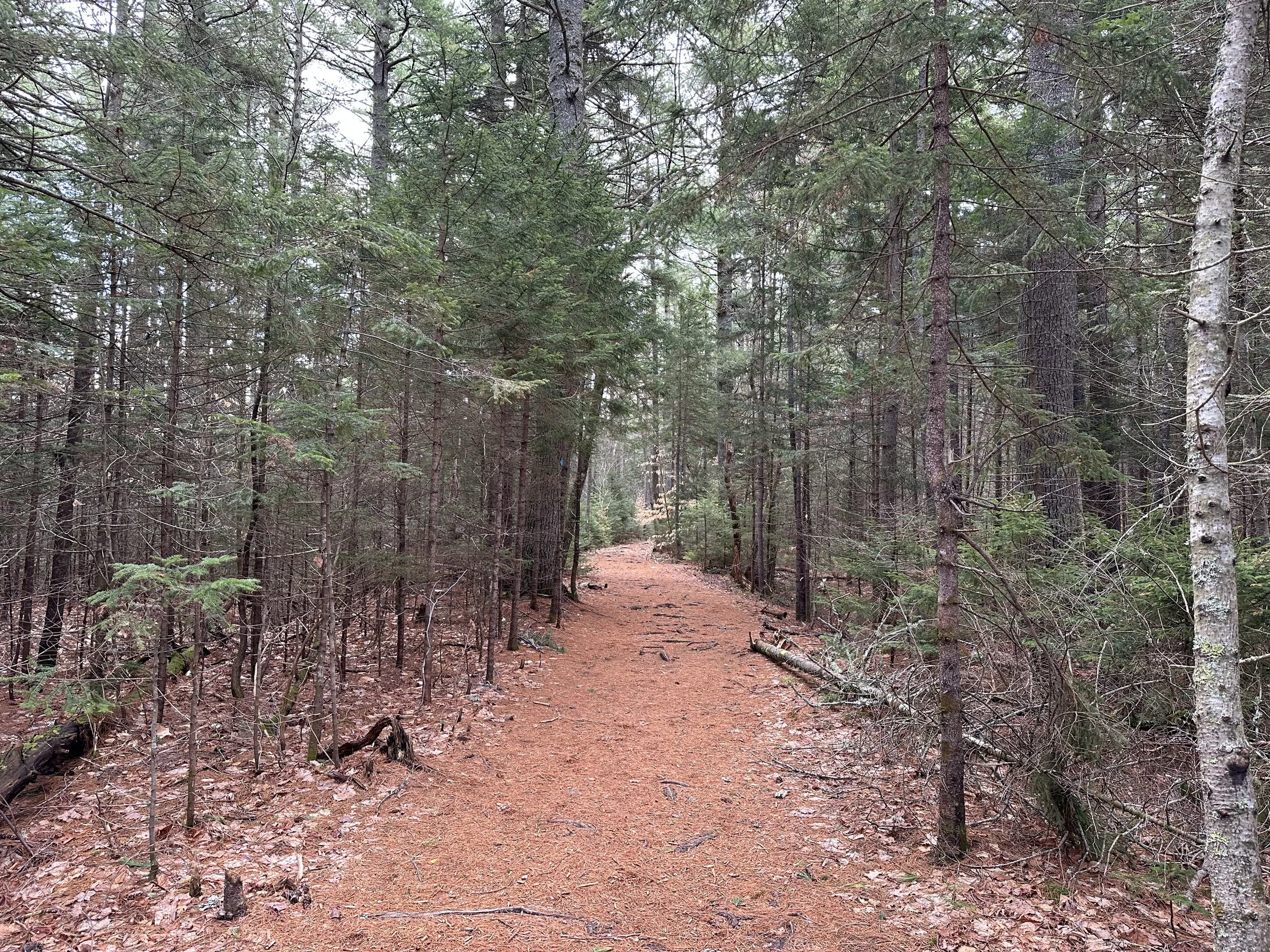 beginning of the UNH Trail