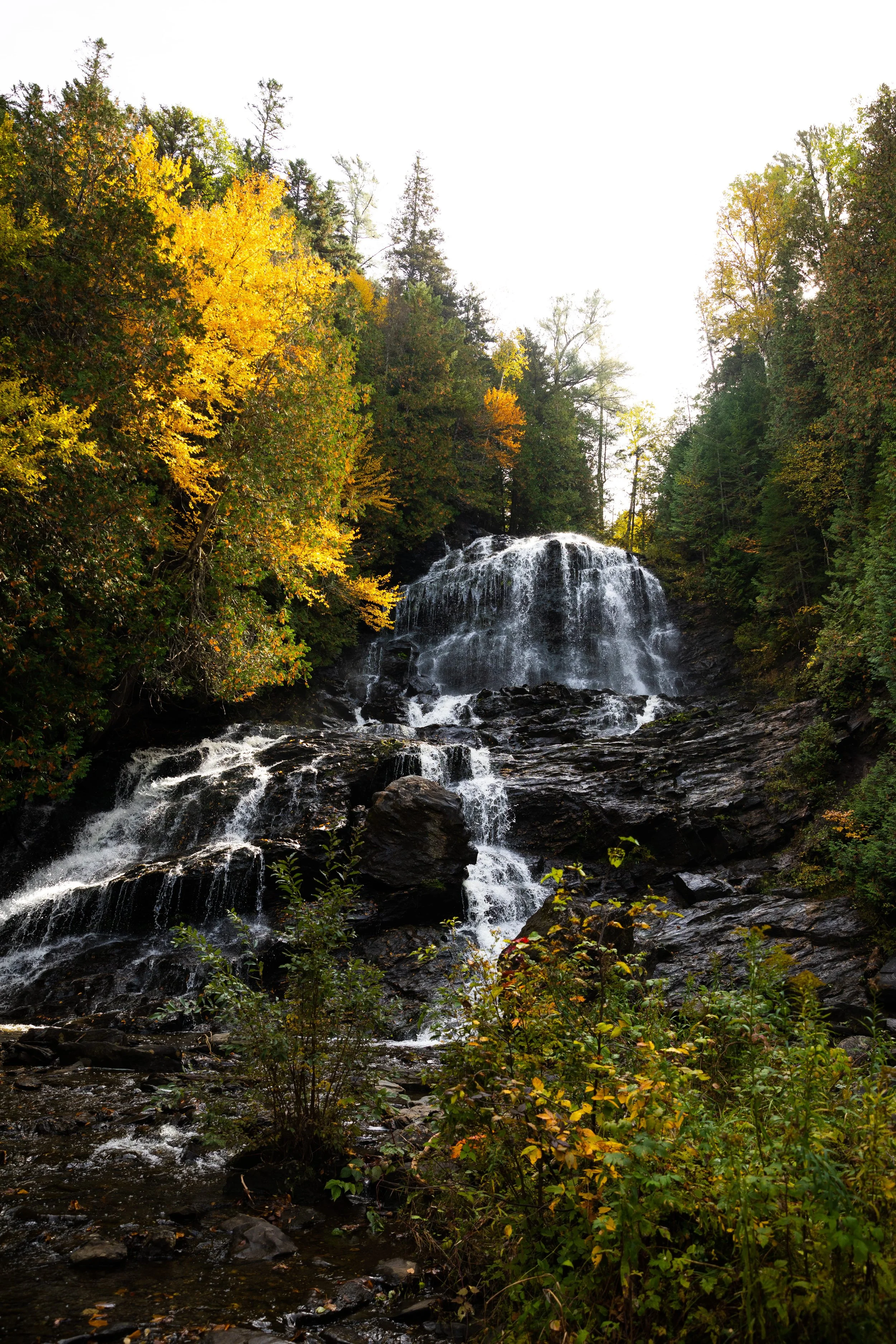waterfall surrounding by fall foliage