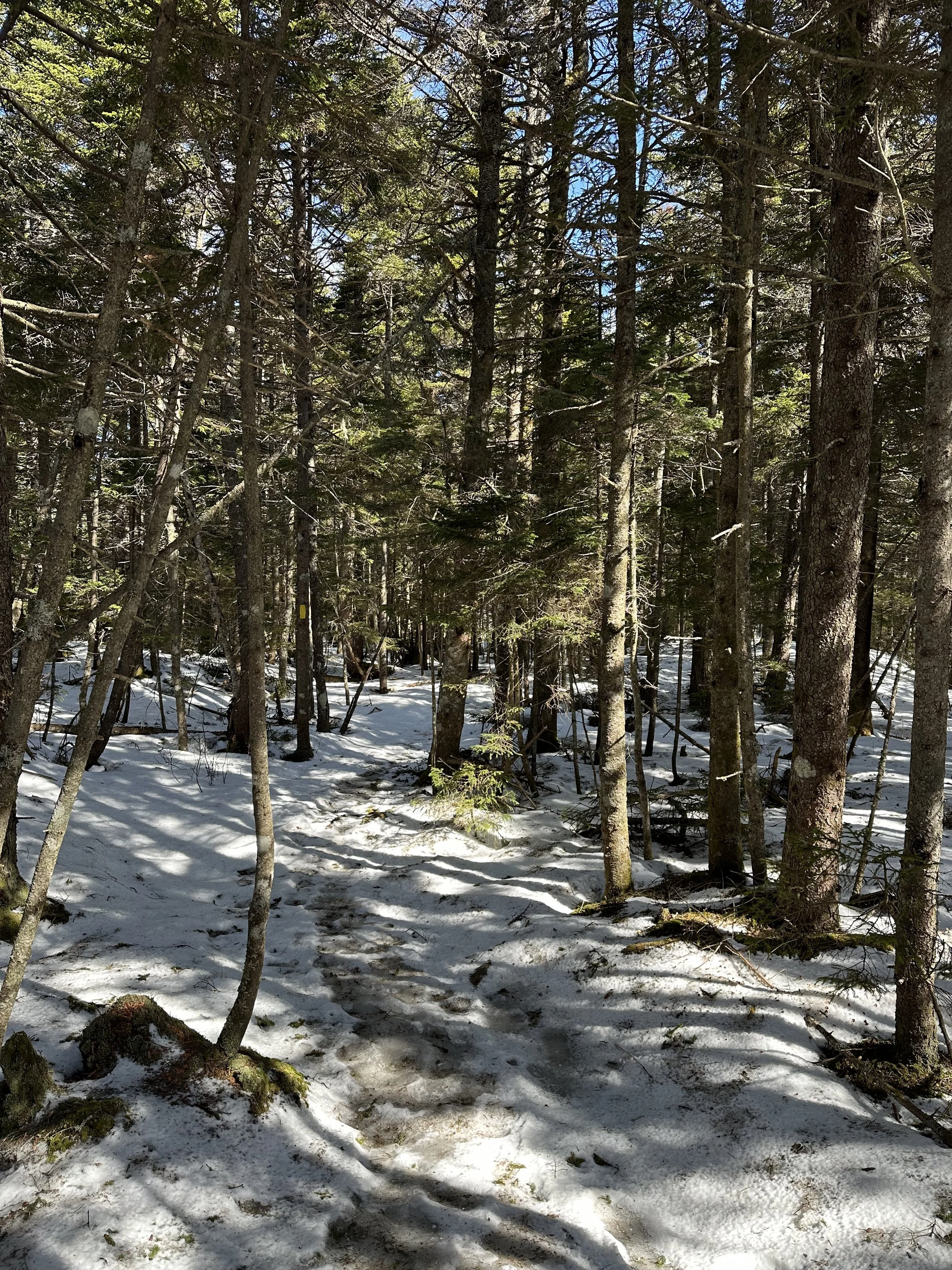 snowy trail to mount israel