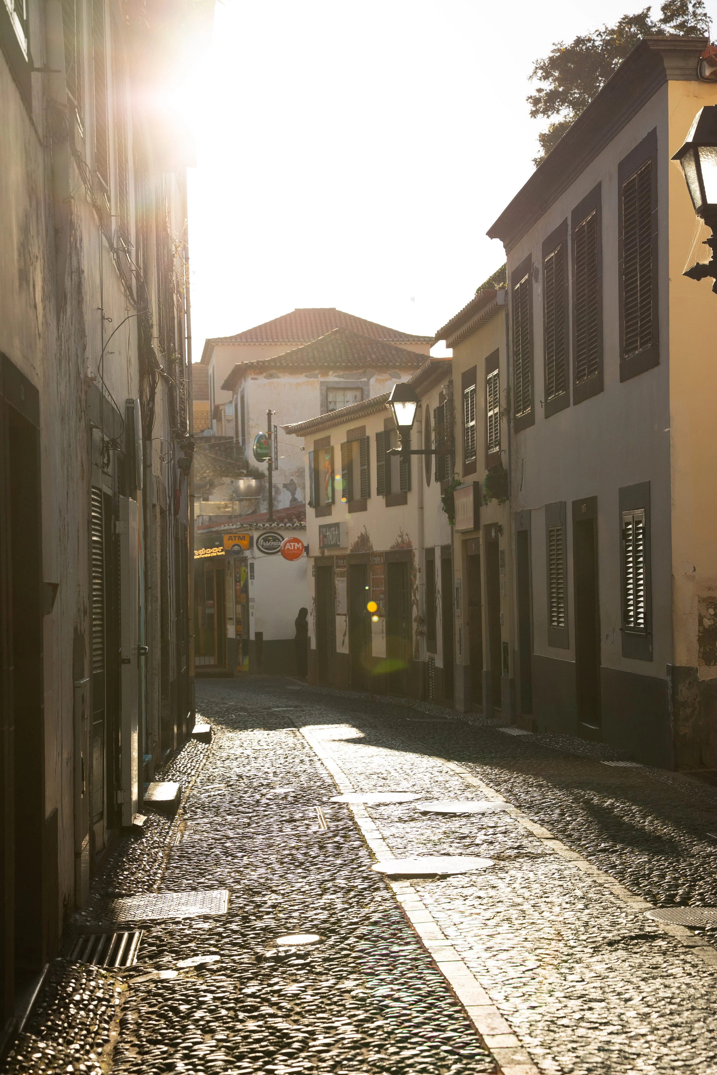 sunset along the streets of Funchal