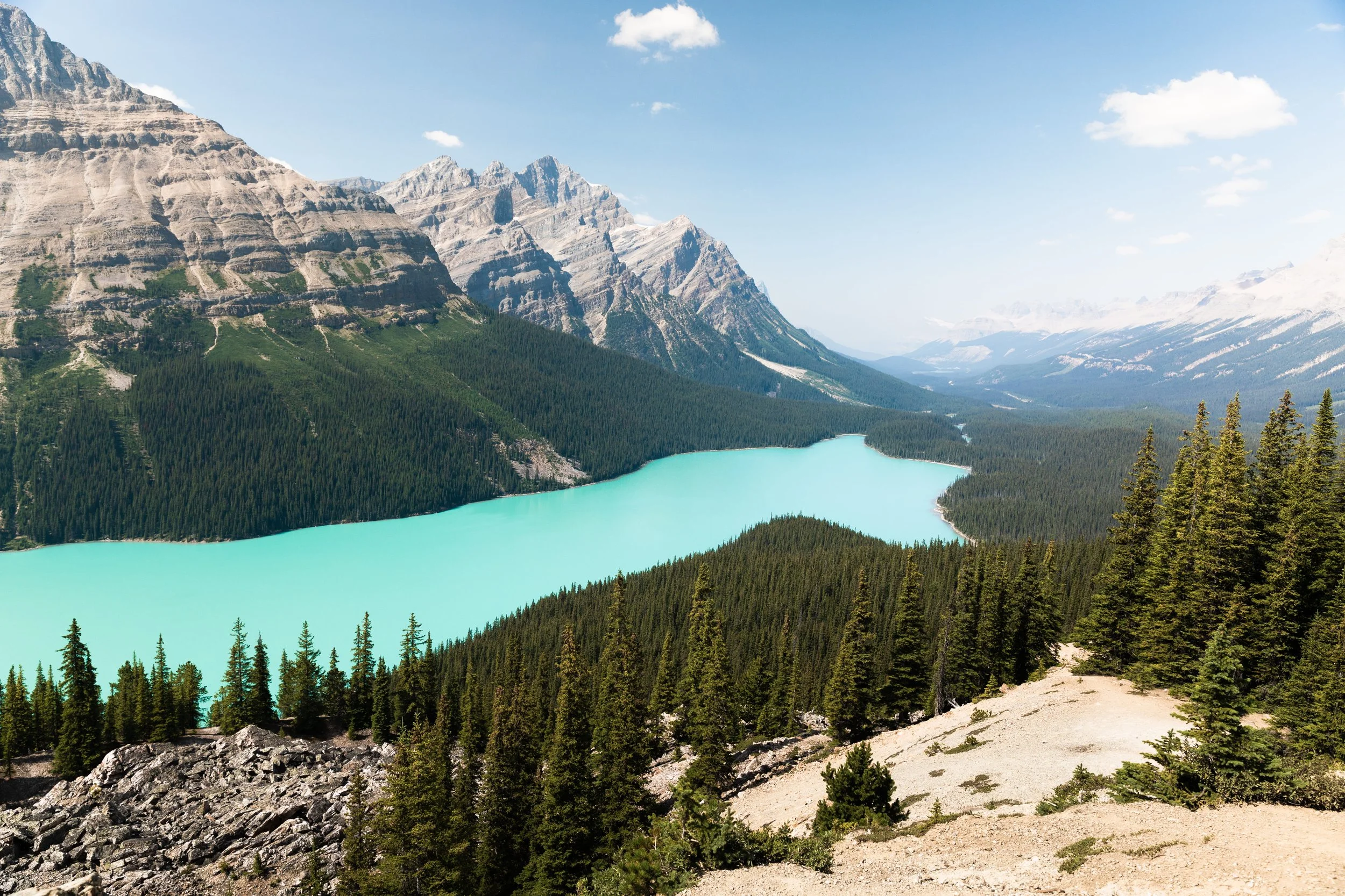 peyto lake in the canadian rockies