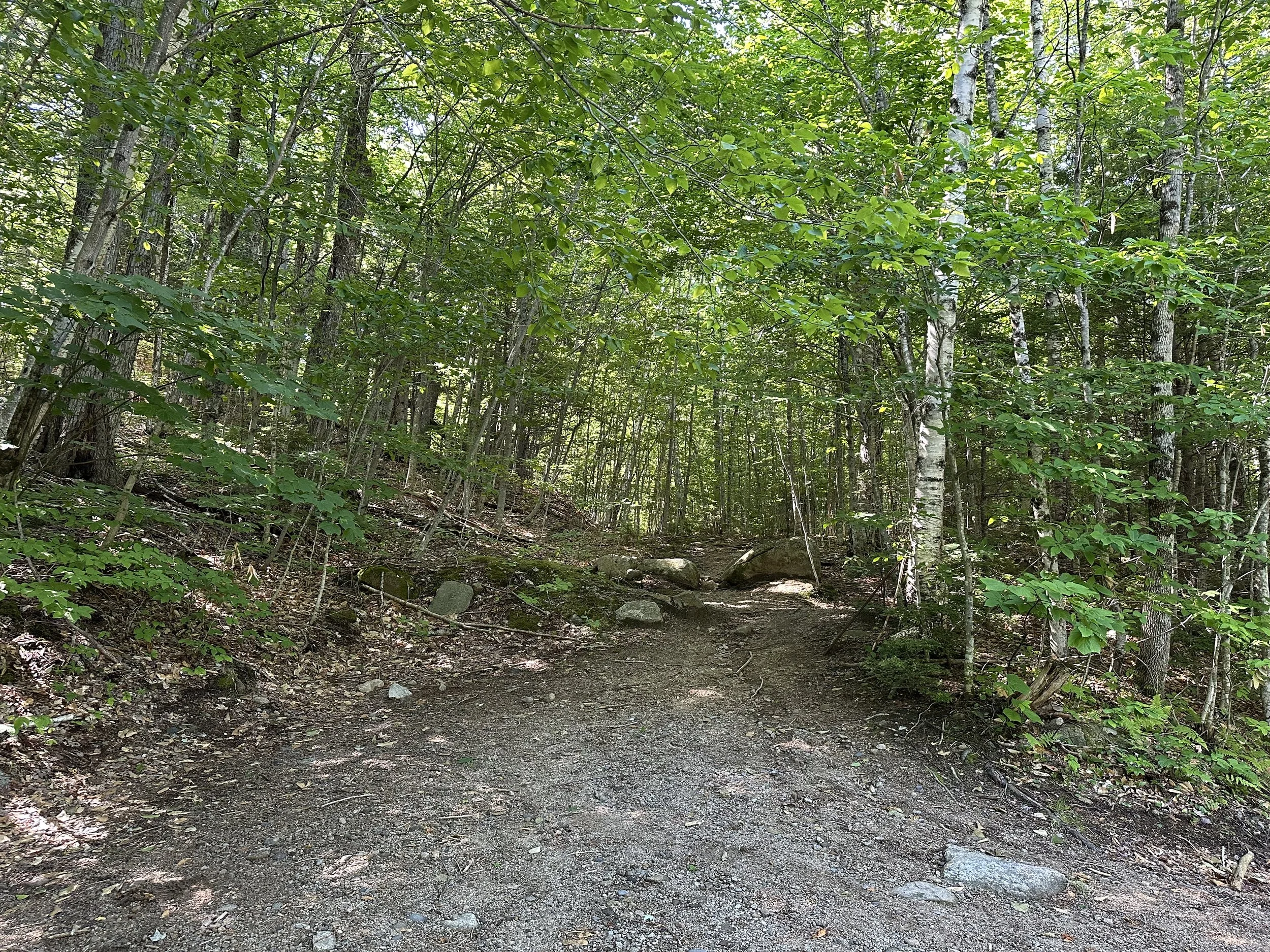 the start of attitash trail