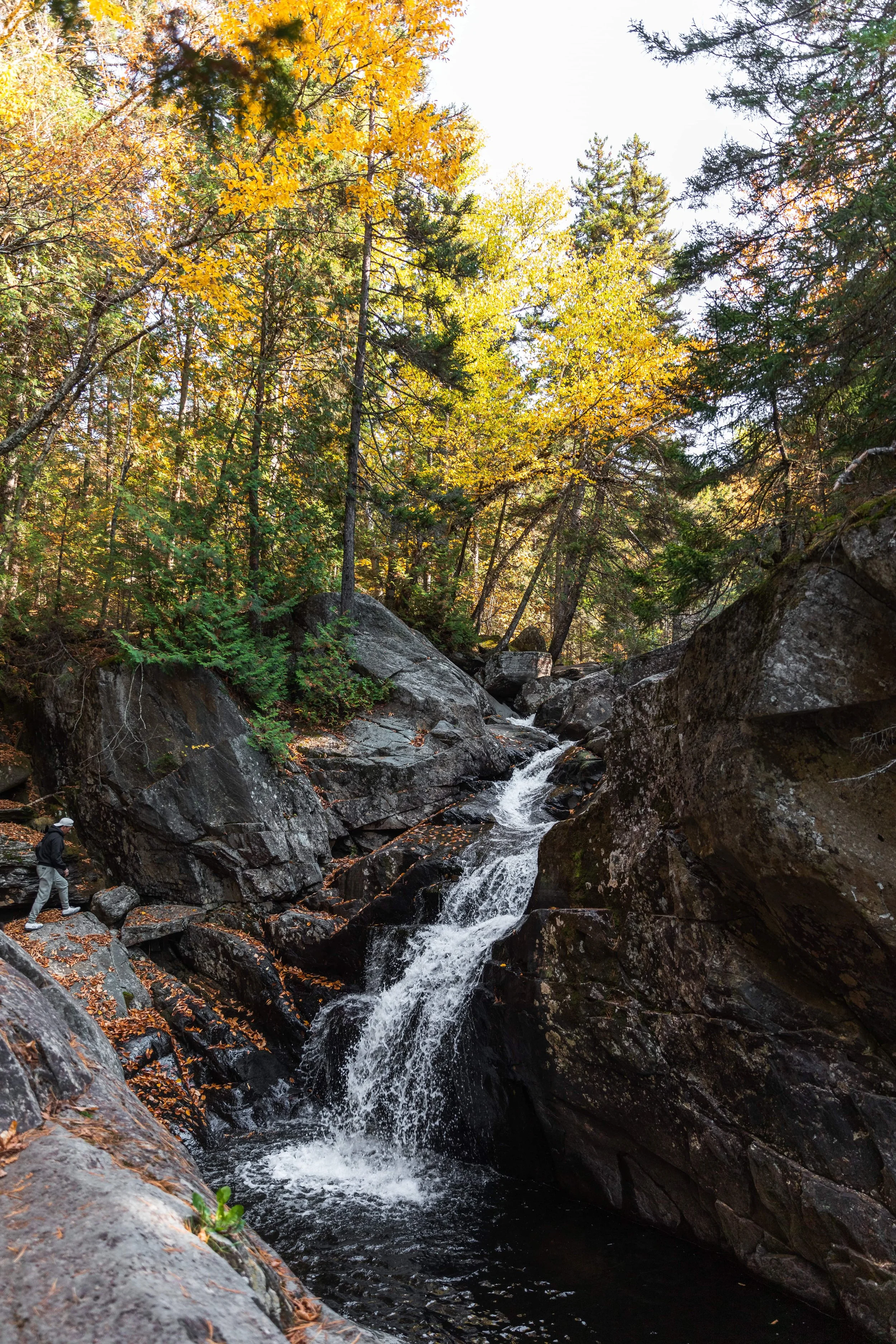the cascades in maine
