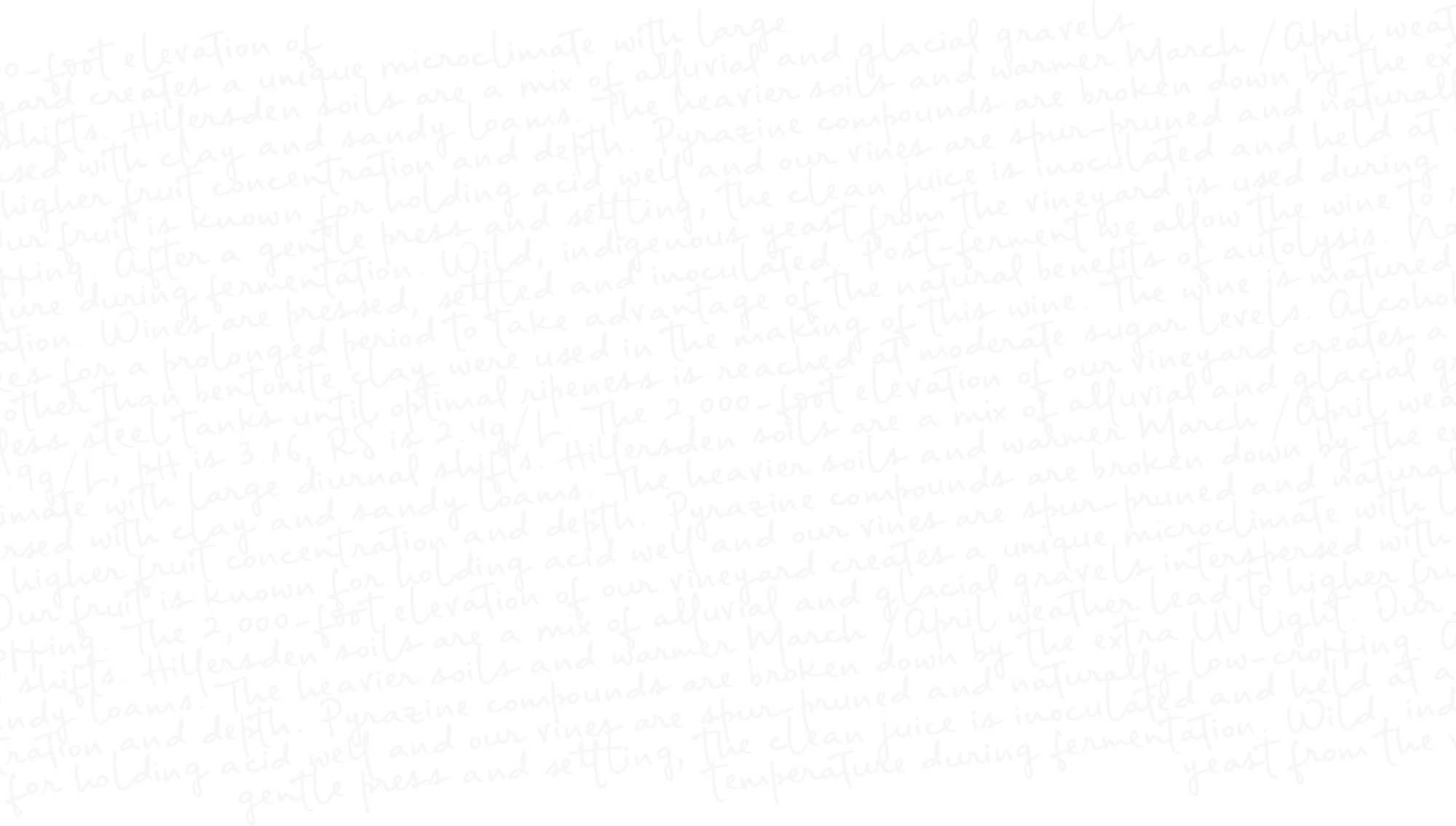 script-bg.jpg