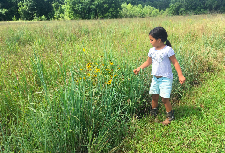 Screen Shot 2021-02-09 at 8.38.18 PM.png