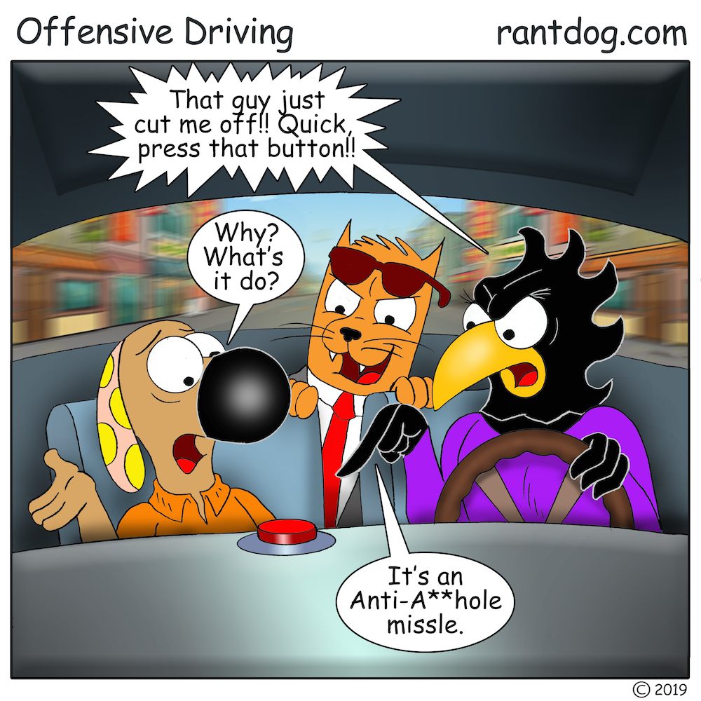 RDC_713_Offensive Driving copy.jpg