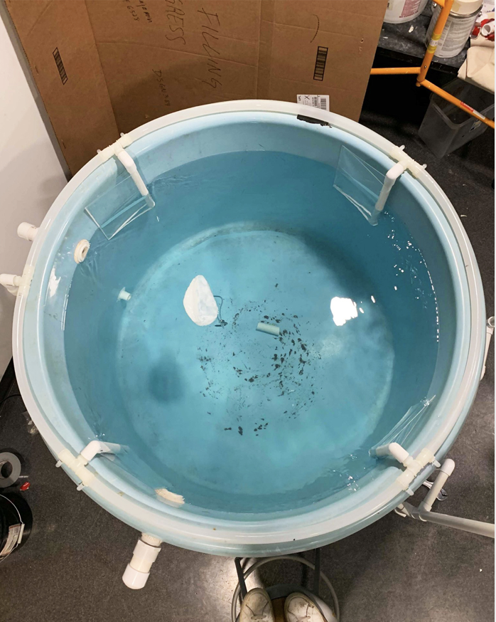 Screen Shot 2020-01-03 at 5.25.17 PM.png