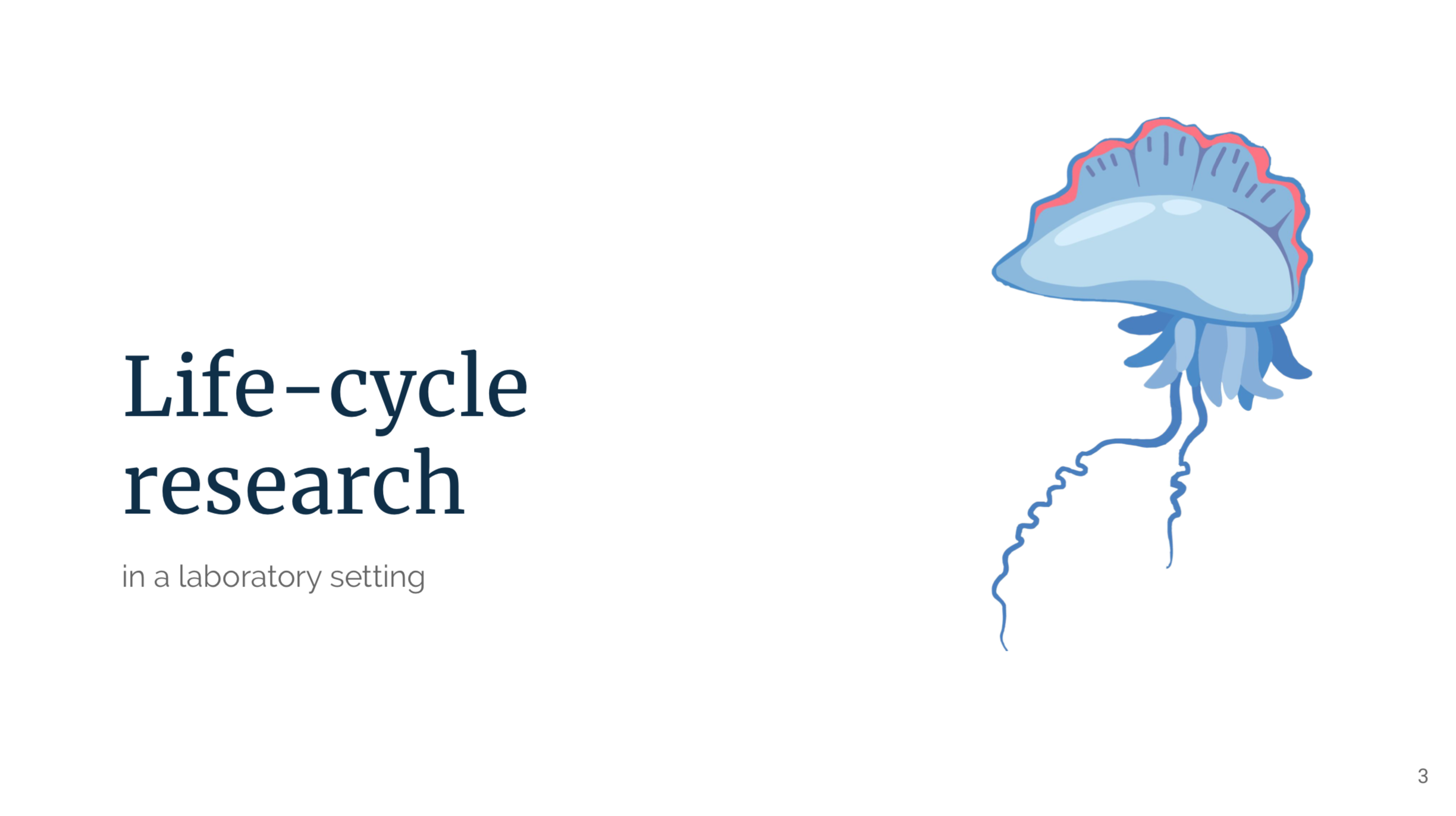 Screen Shot 2020-04-16 at 9.20.20 PM.png