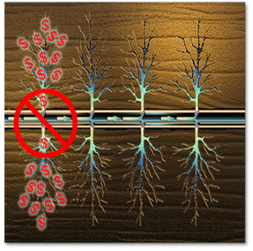 frac_stages.png