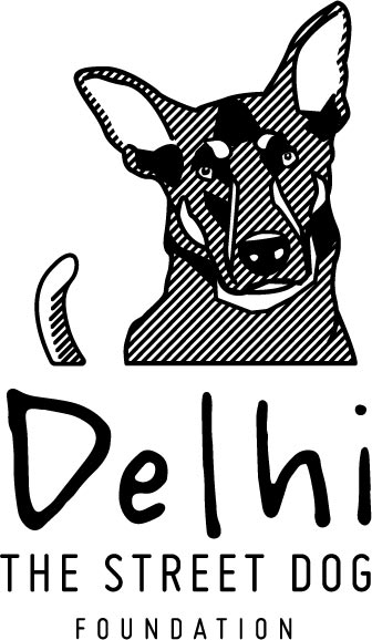 Delhi the Street Dog Foundation