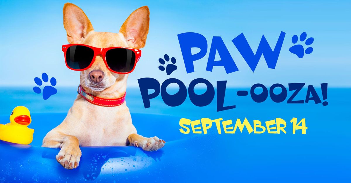 Paw Pool-ooza