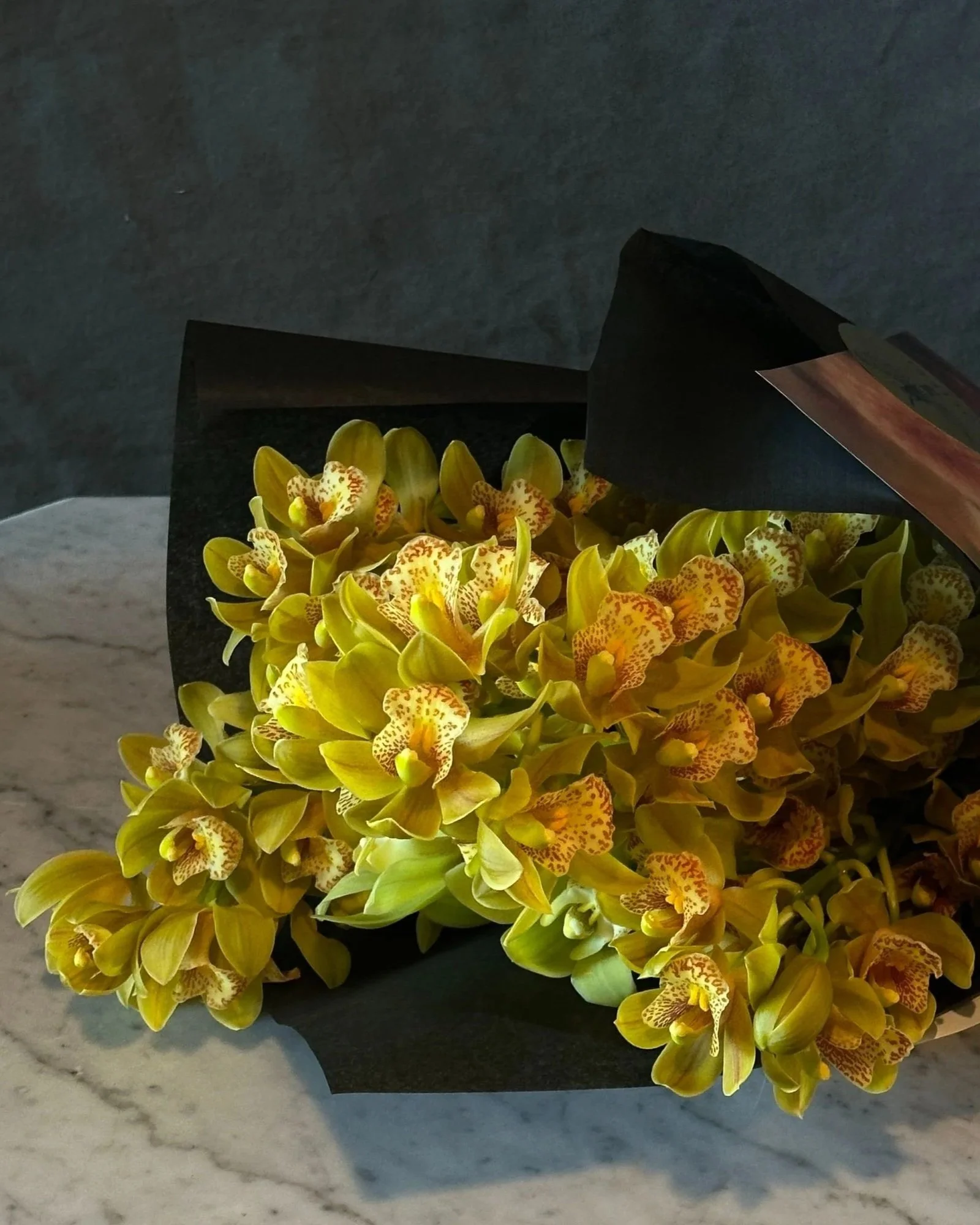 Winter Orchids