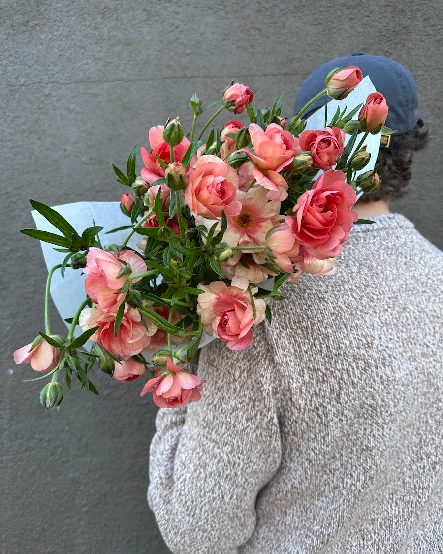 PEAK BLOOM, Weekly Special