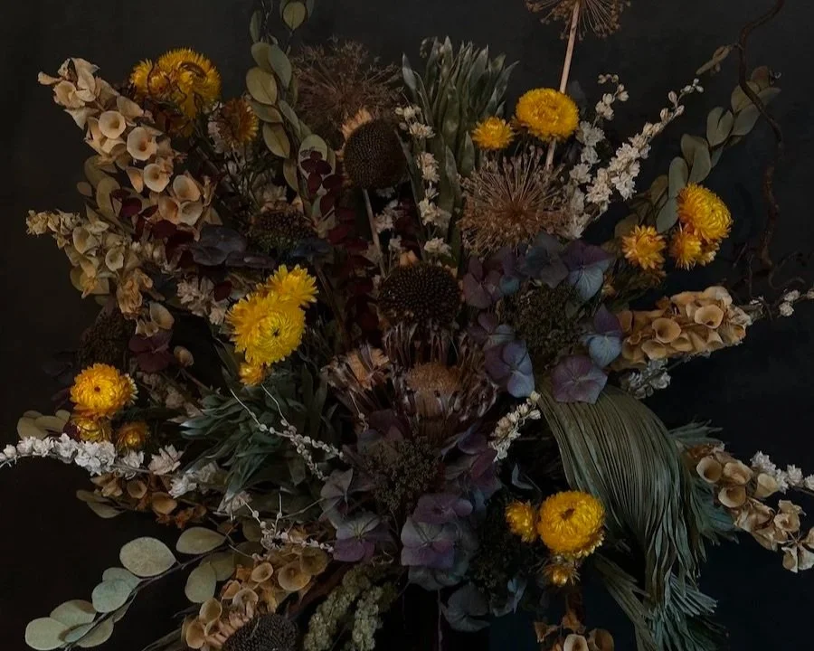 Portland Art Museum x Colibri 