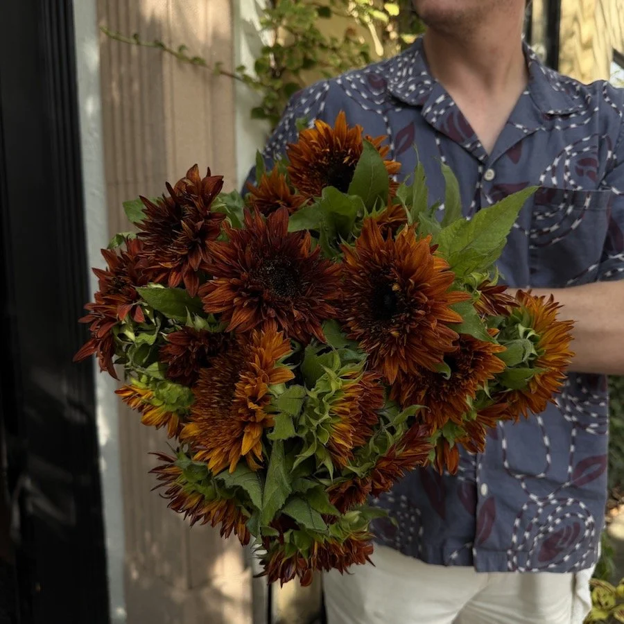 Darjeeling Sunflowers