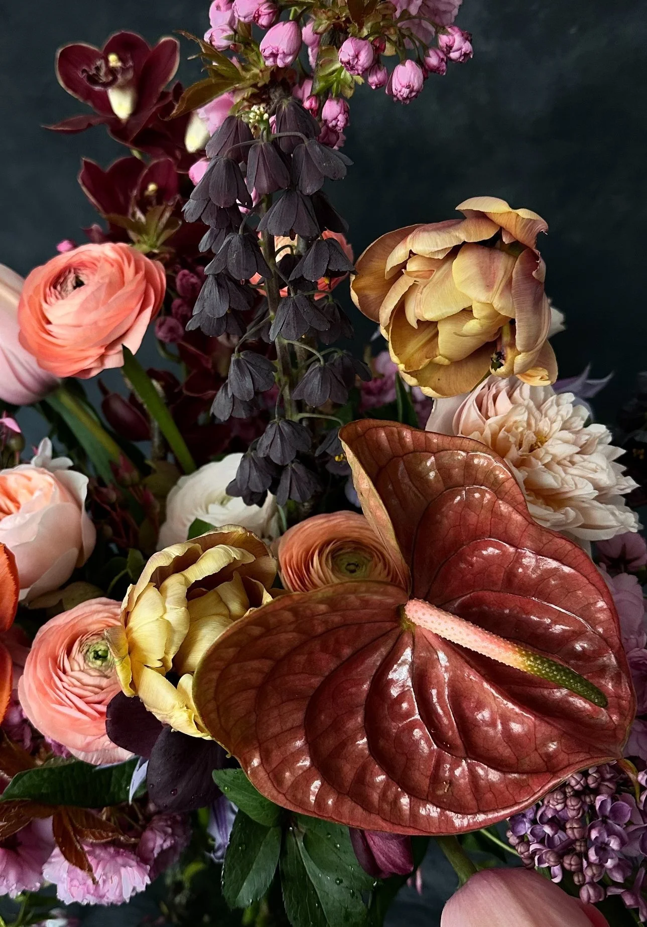 Inside COLIBRI FLOWERS & PLANTS