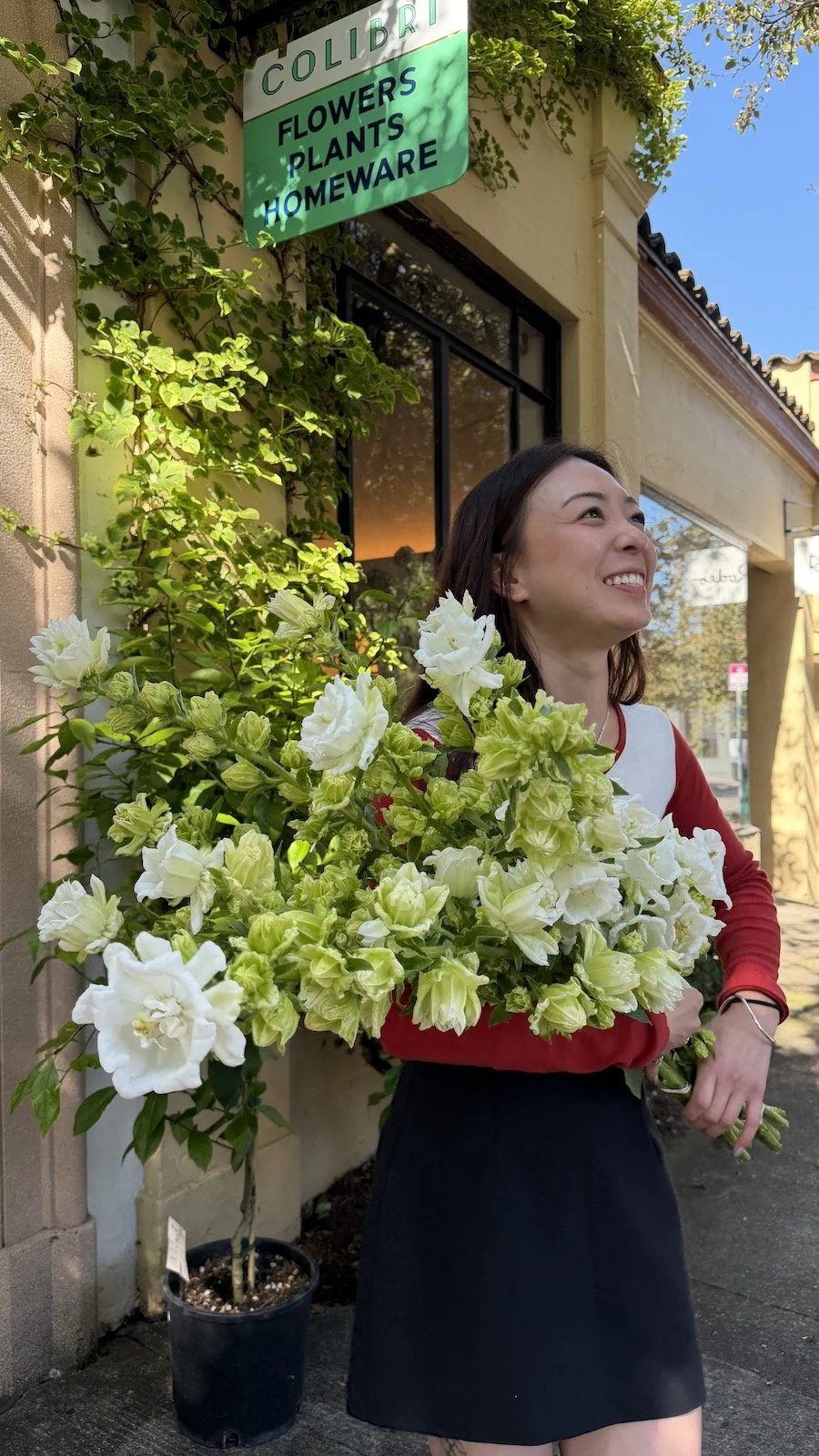 PEAK BLOOM, Weekly Special