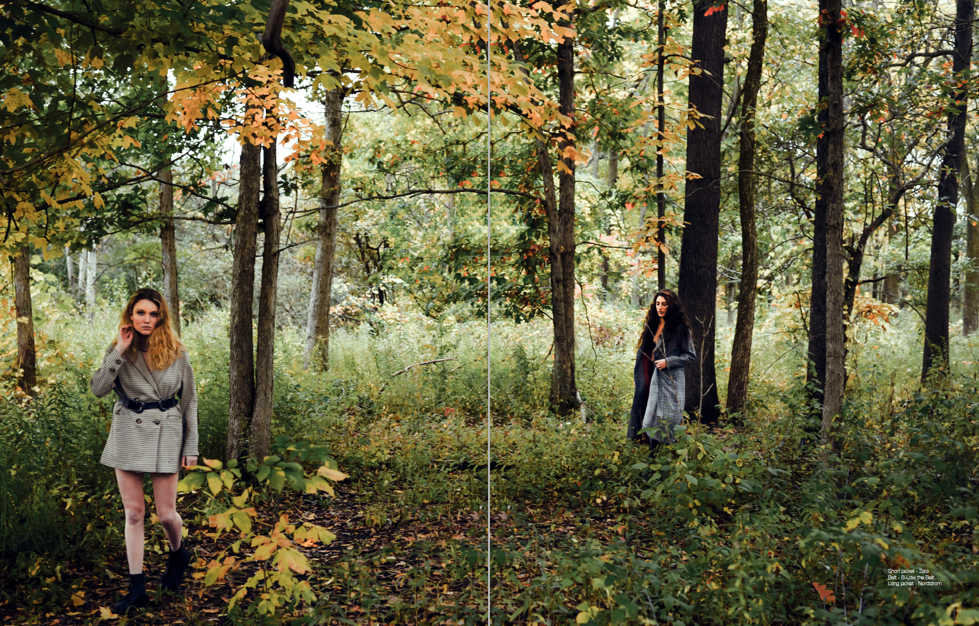 Screen Shot 2018-11-30 at 1.55.59 PM.png