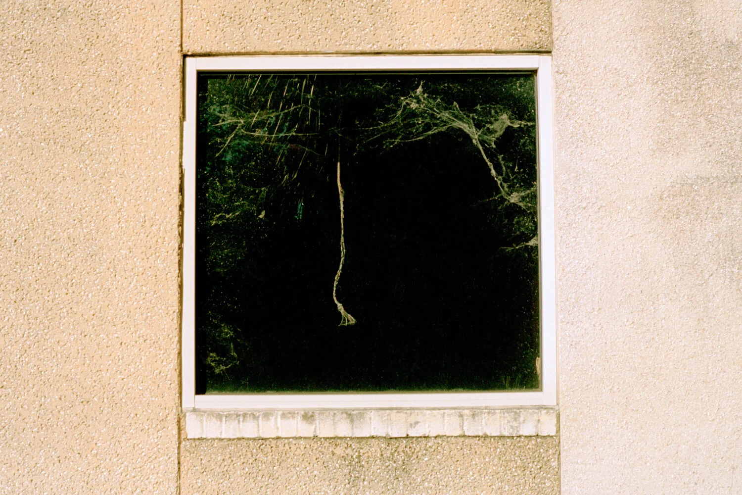 20200127-window-1.jpg