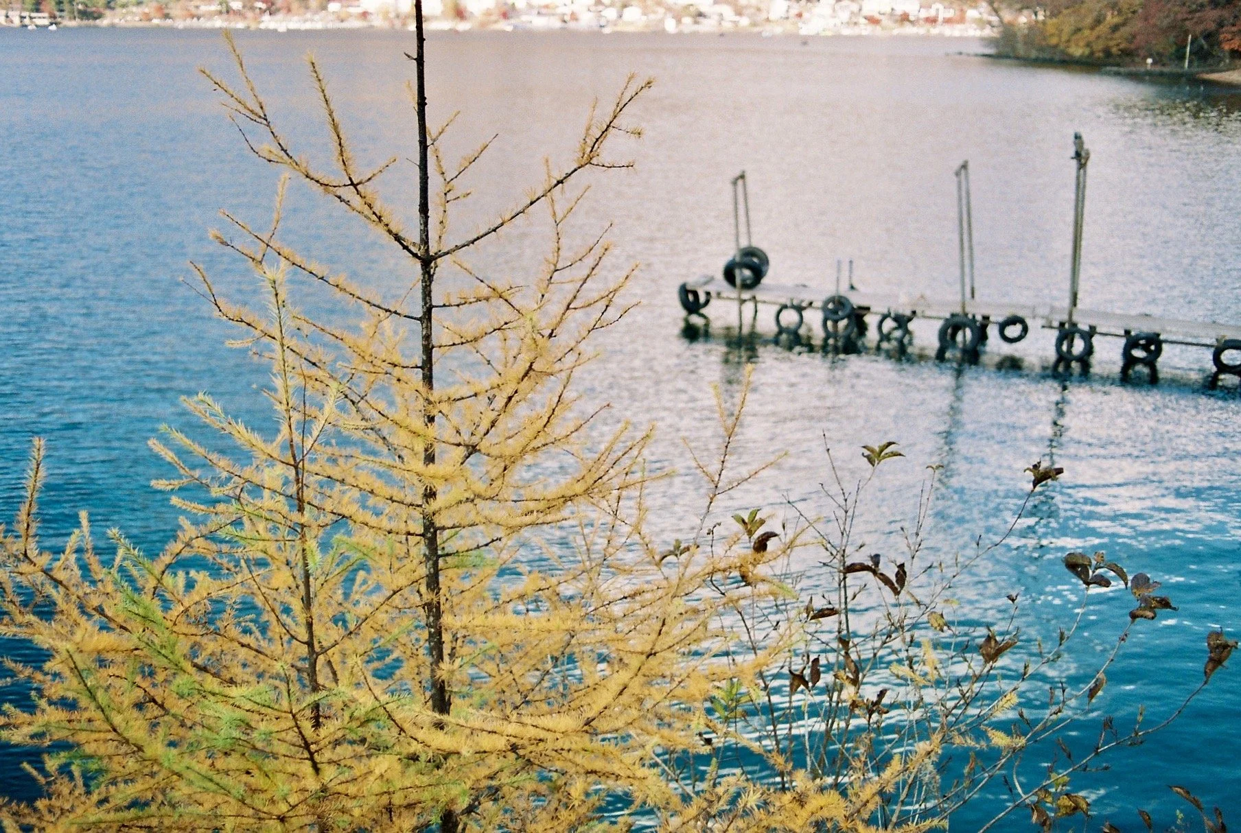 R1-00510-019A.jpeg