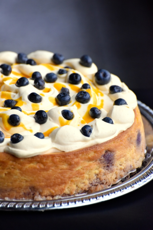 Mango Blueberry Cheesecake