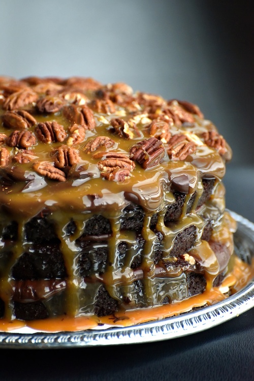 Turtle Cake | Just A Pinch Recipes