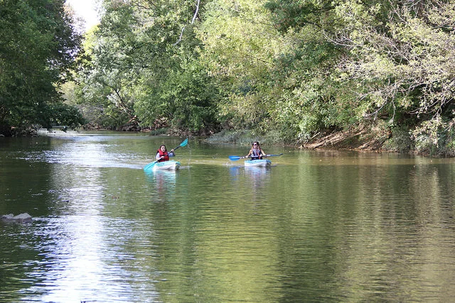 Kayak 1.jpg