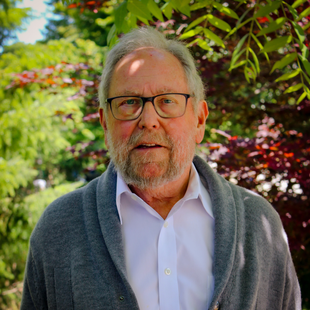 Dr David Young