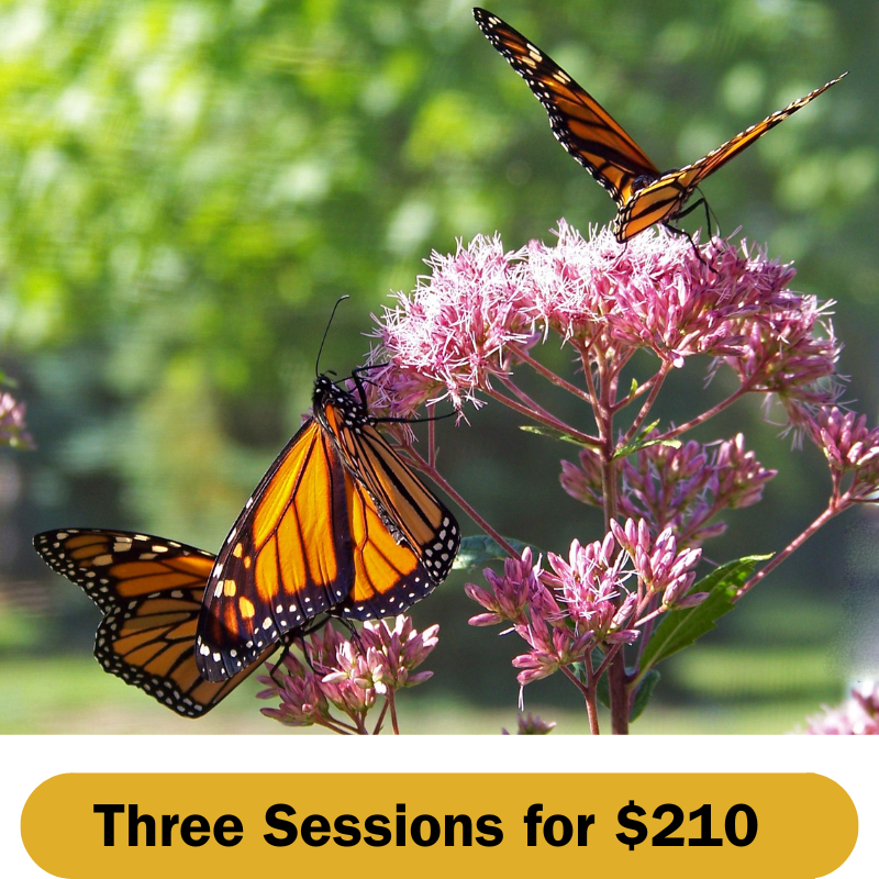 Three Sessions.png