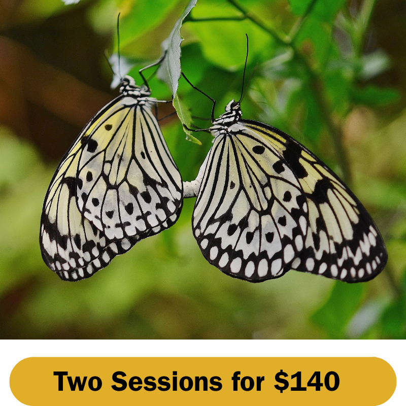 Infertility Support Group - Two Sessions